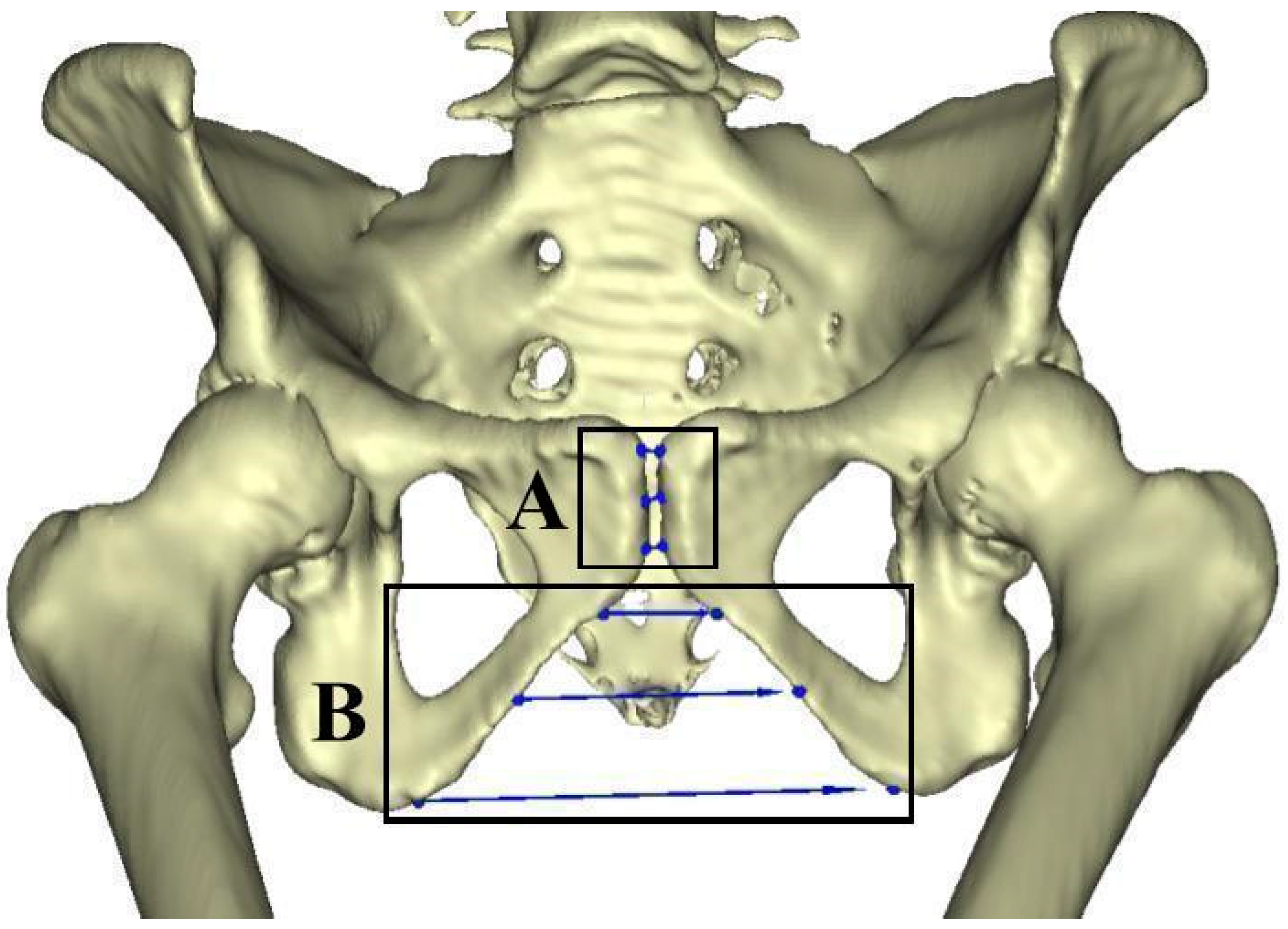 Humans 05 00013 g002