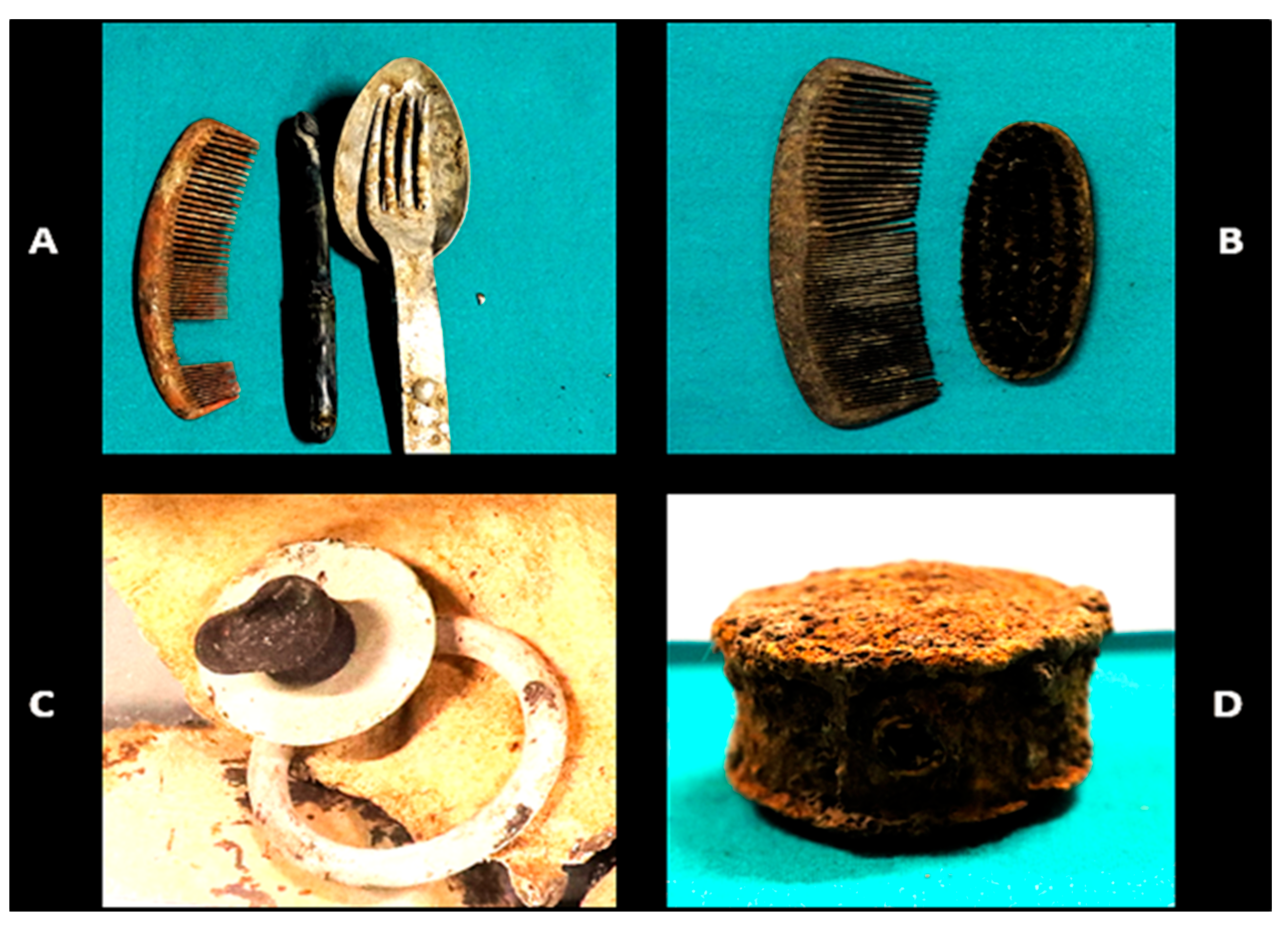 Humans 05 00016 g001