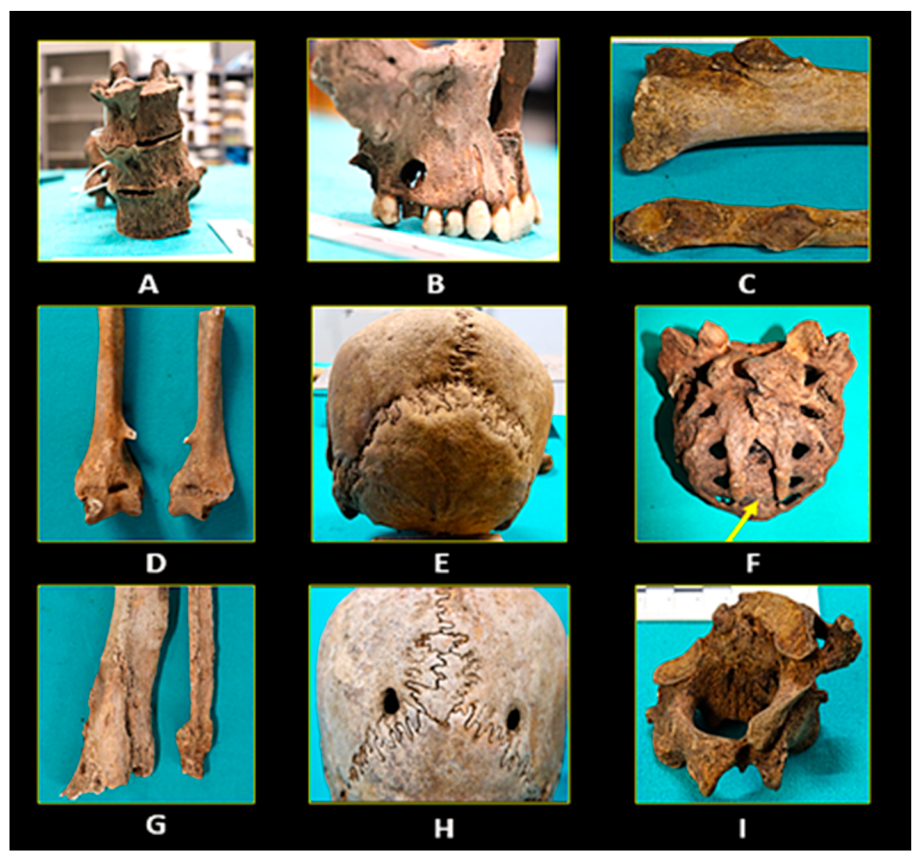 Humans 05 00016 g006