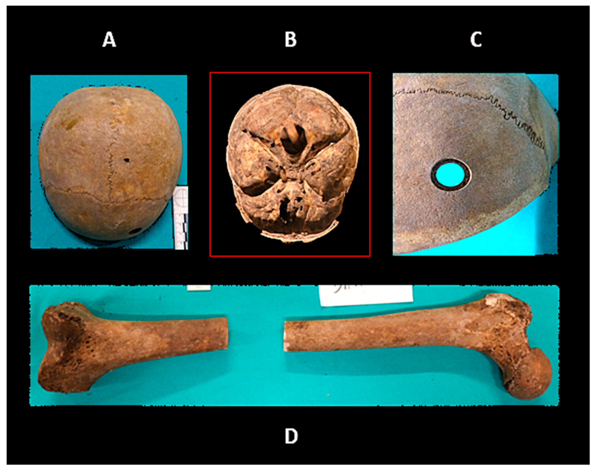 Humans 05 00016 g007