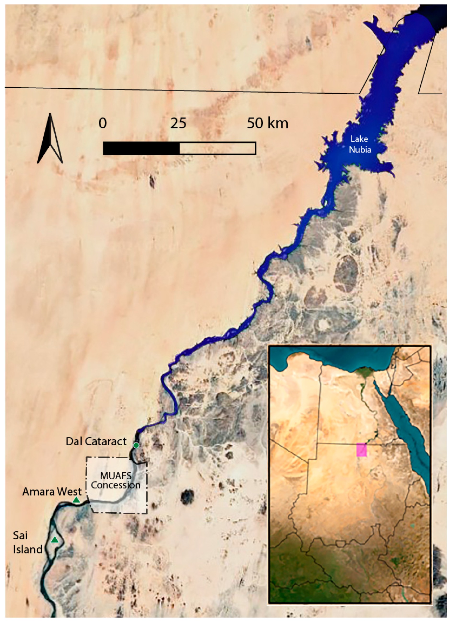 Humans 05 00026 g001 Humans 05 00026 g001