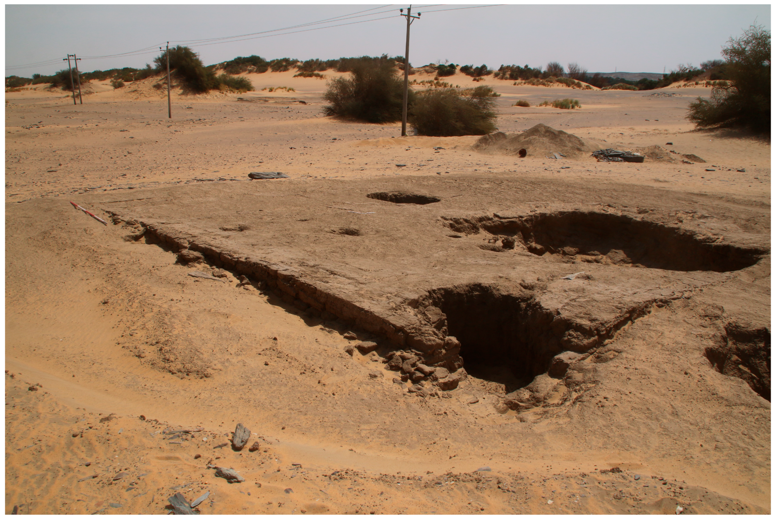 Humans 05 00026 g005 Humans 05 00026 g005