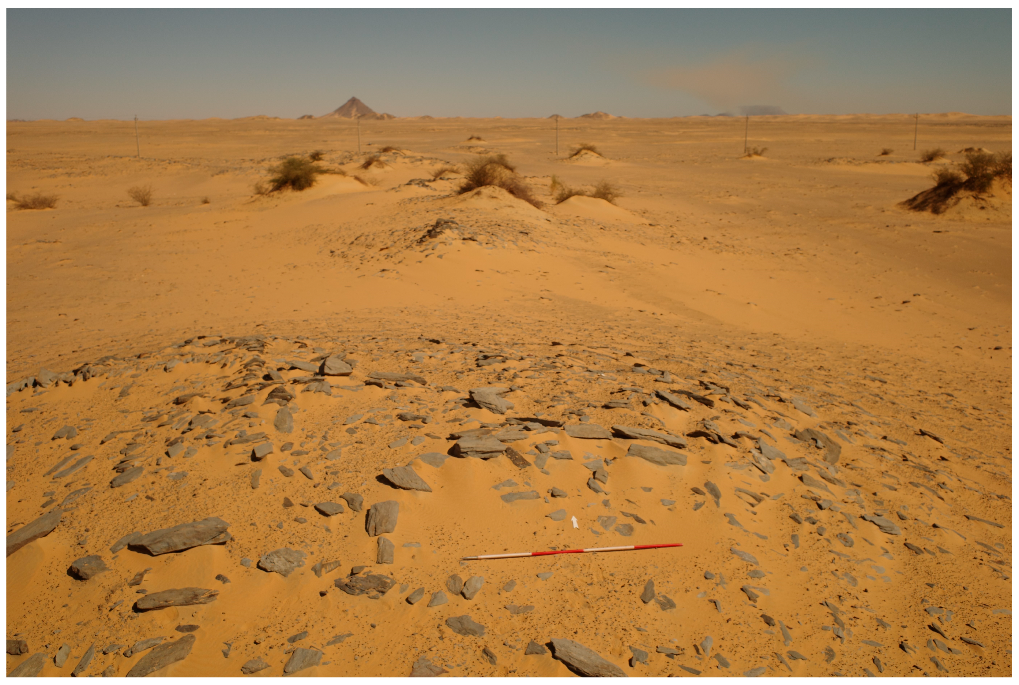 Humans 05 00026 g007 Humans 05 00026 g007