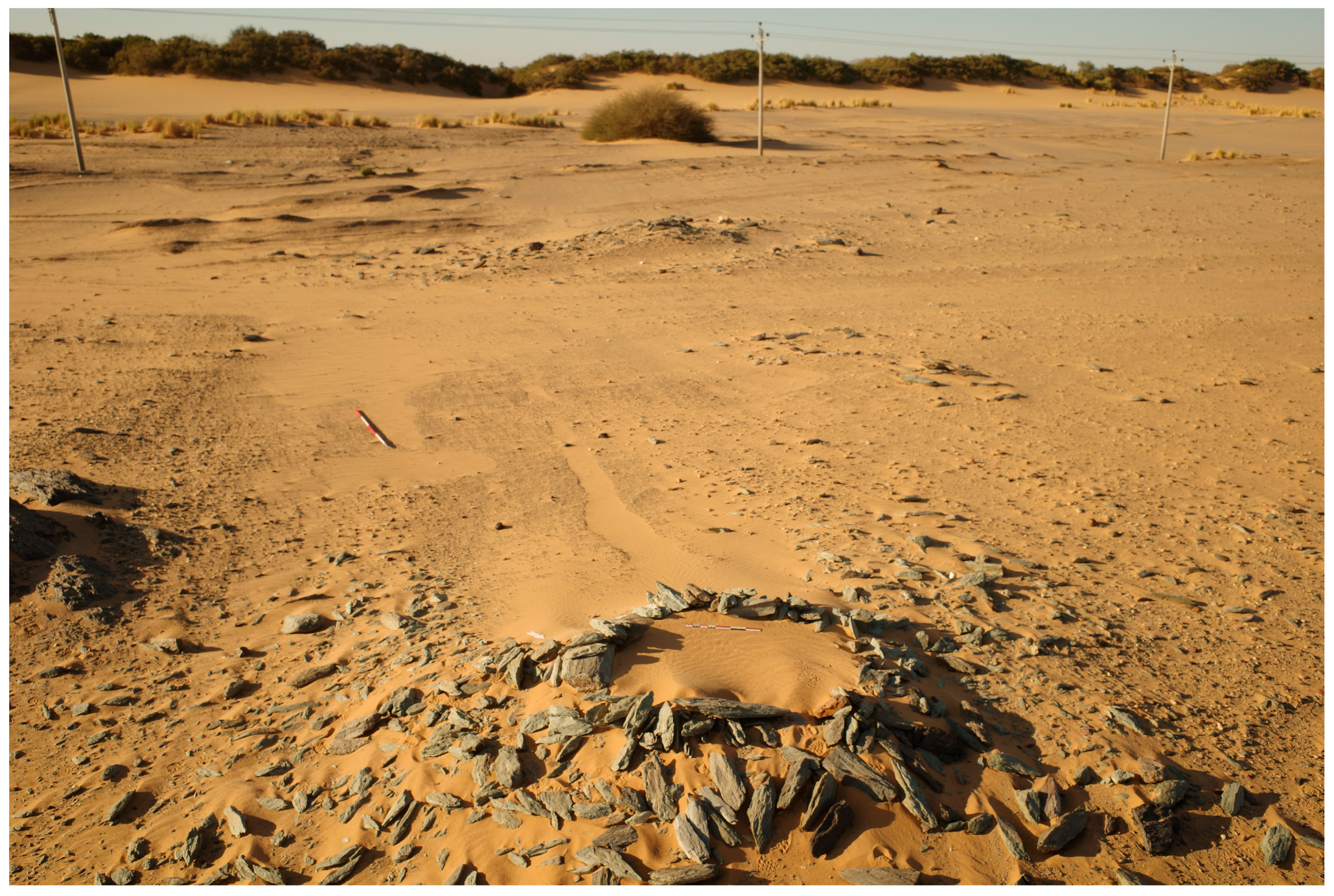 Humans 05 00026 g008 Humans 05 00026 g008