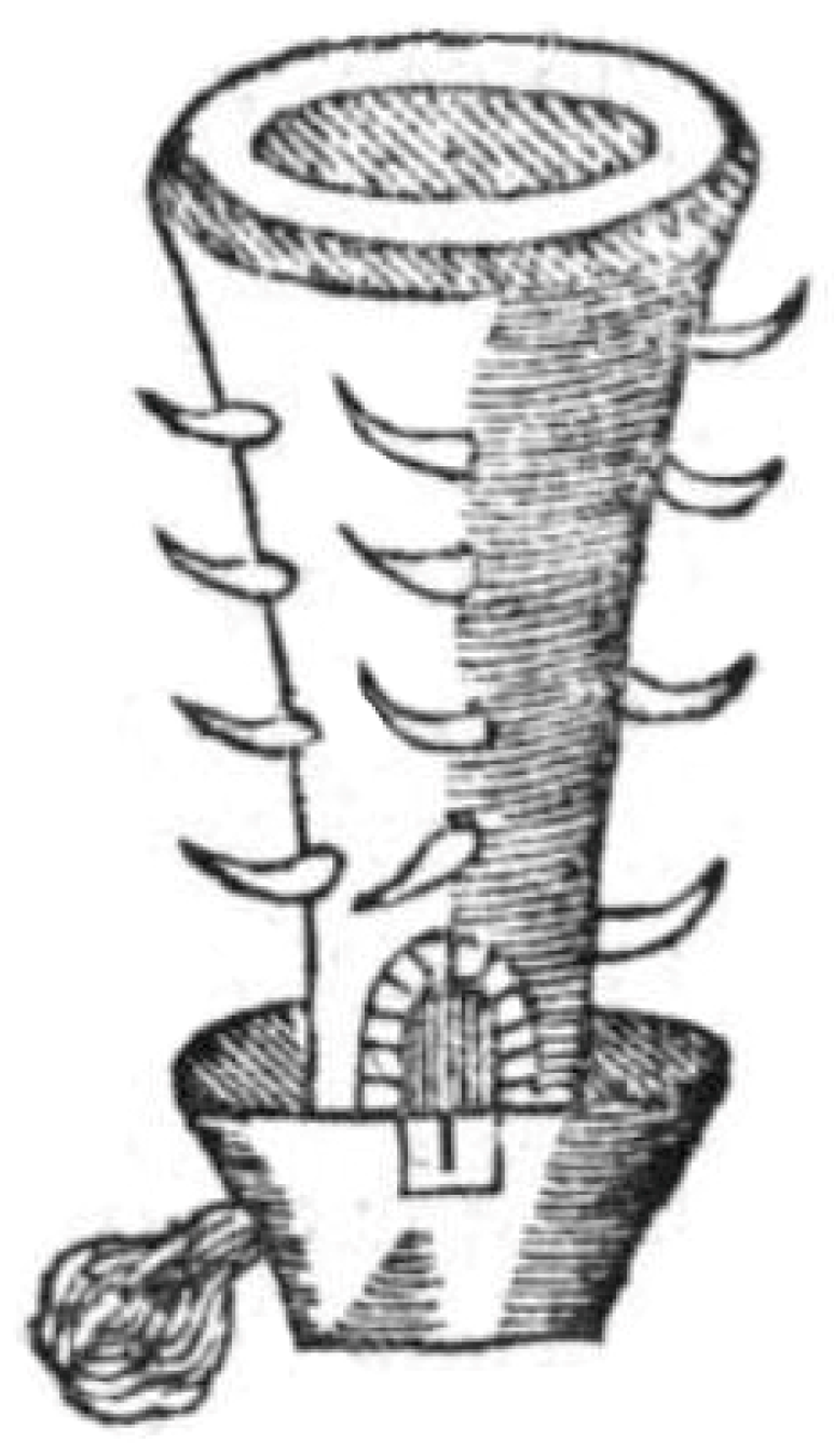 Humans 05 00034 g003