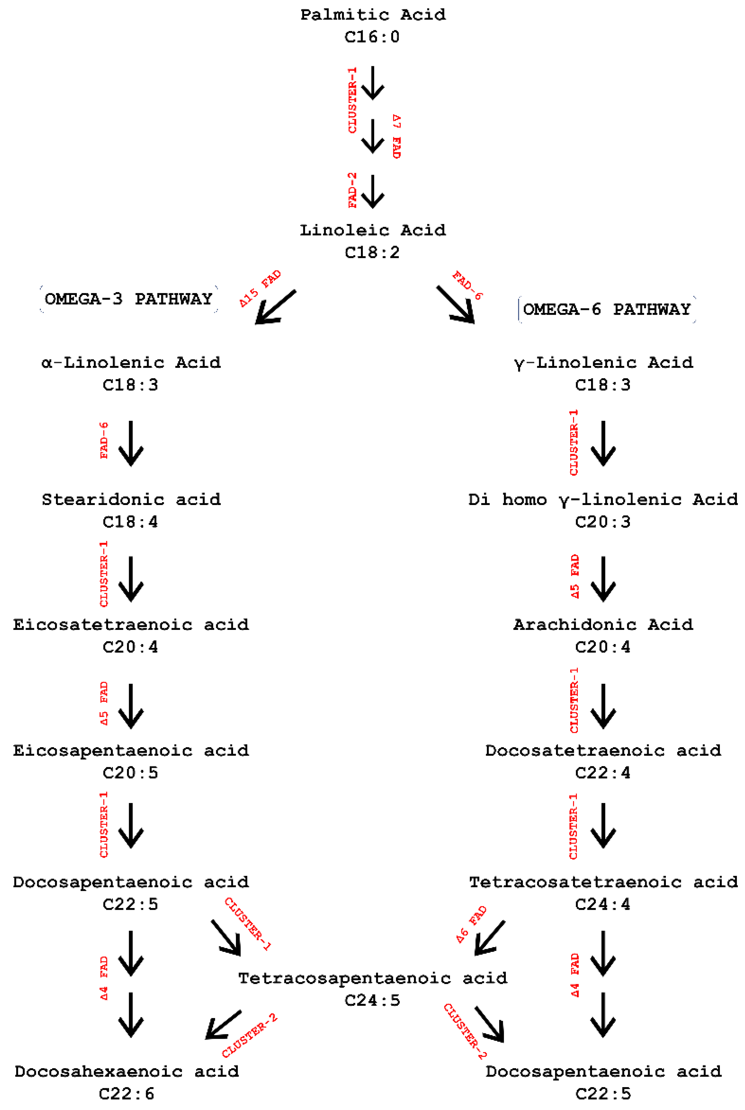 Hydrobiology 01 00027 g001