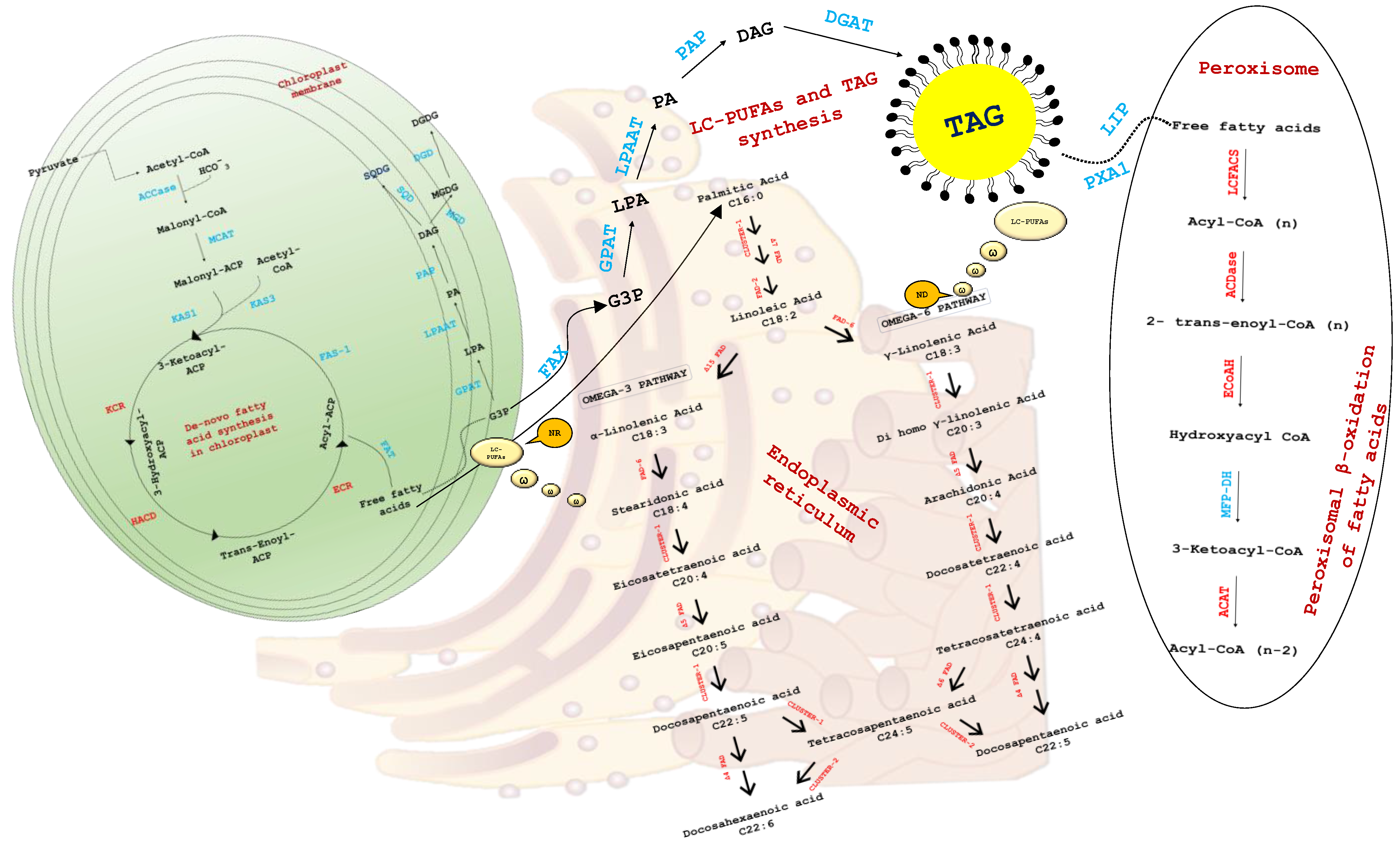 Hydrobiology 01 00027 g006