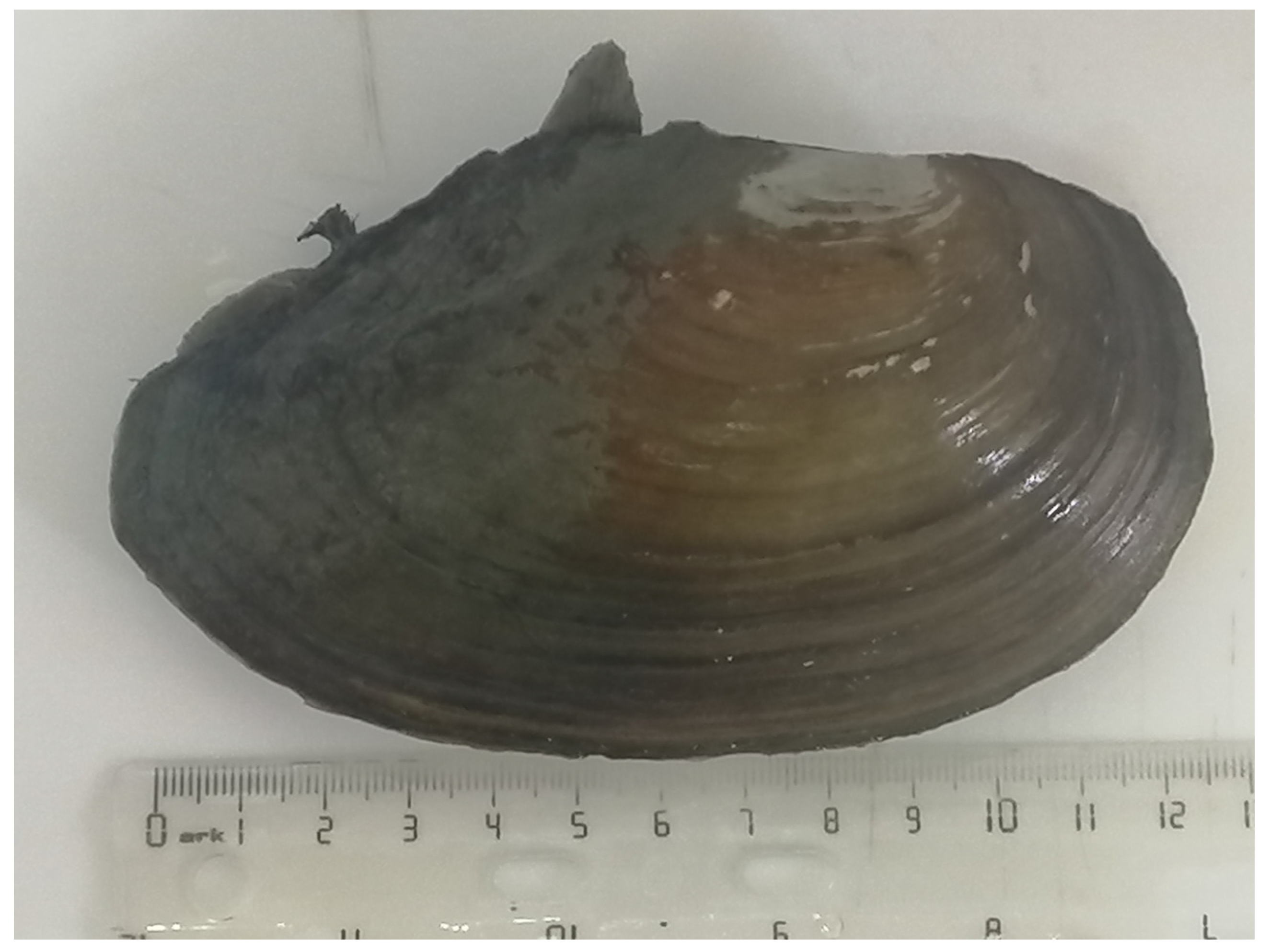 Hydrobiology 02 00003 g002