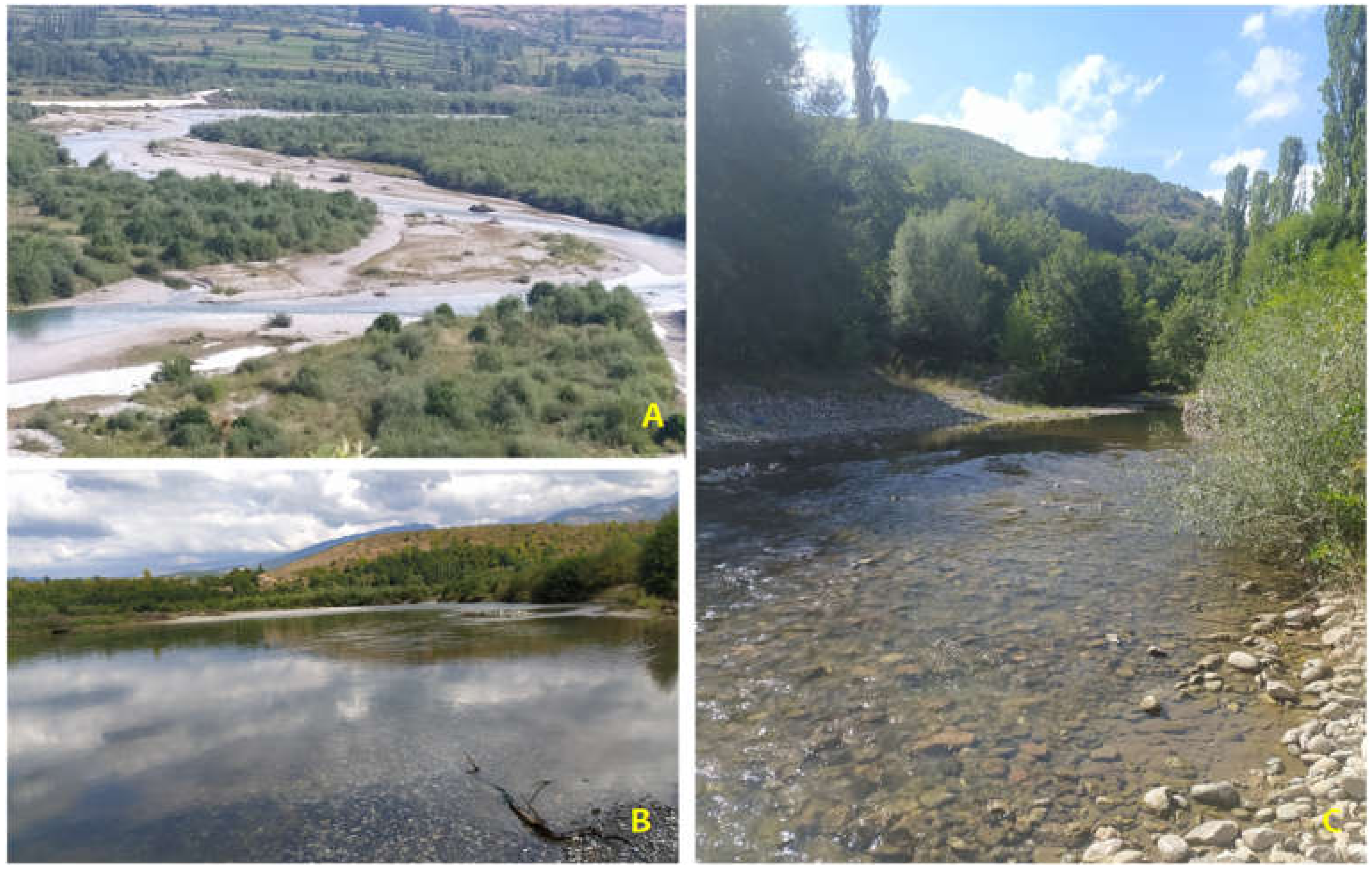 Hydrobiology 02 00004 g003