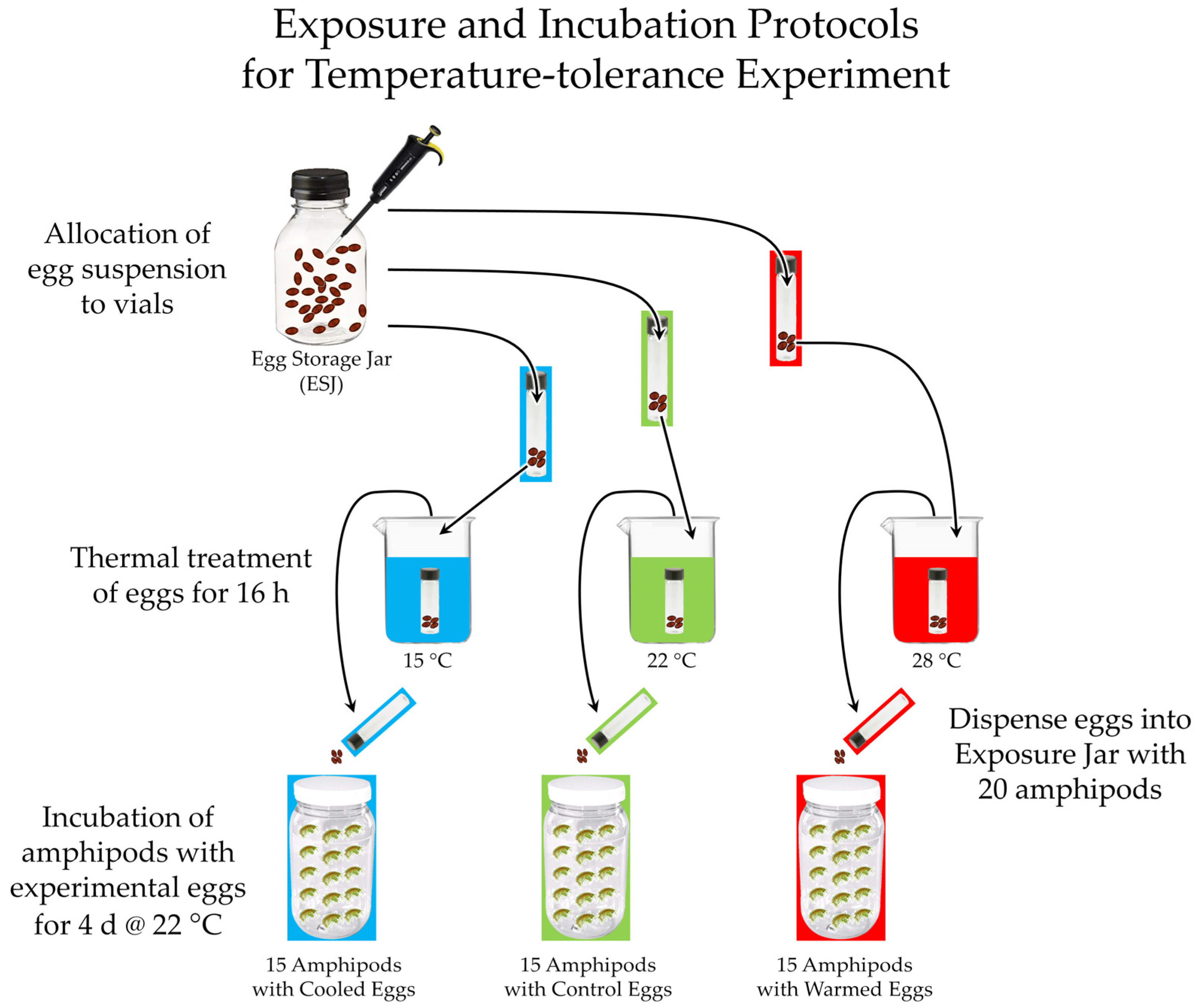 Hydrobiology 02 00007 g006