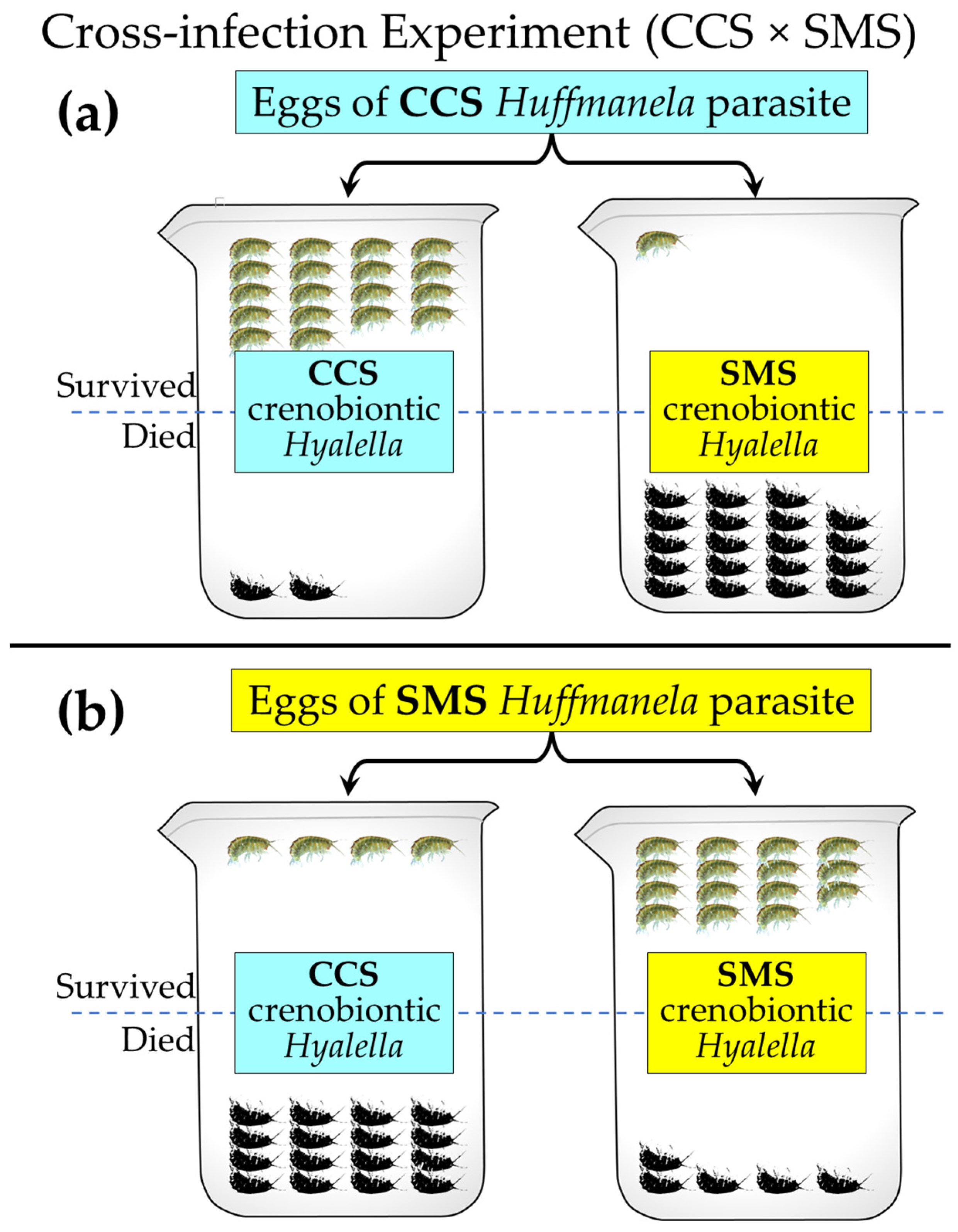 Hydrobiology 02 00007 g009