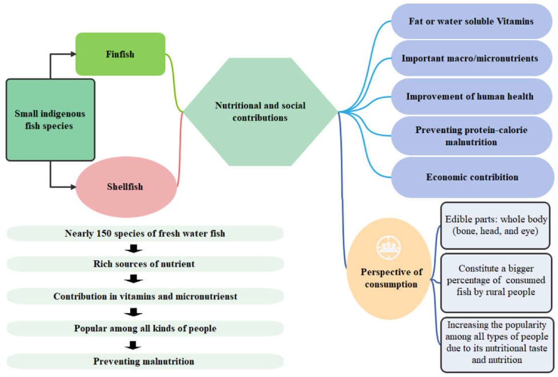 Hydrobiology 02 00014 g002