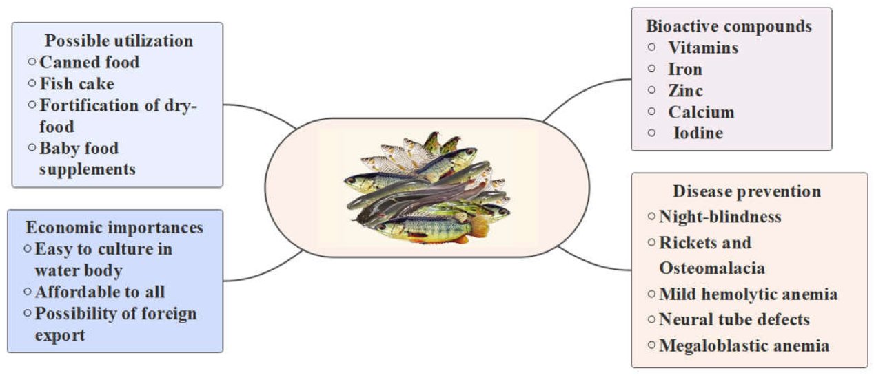 Hydrobiology 02 00014 g003