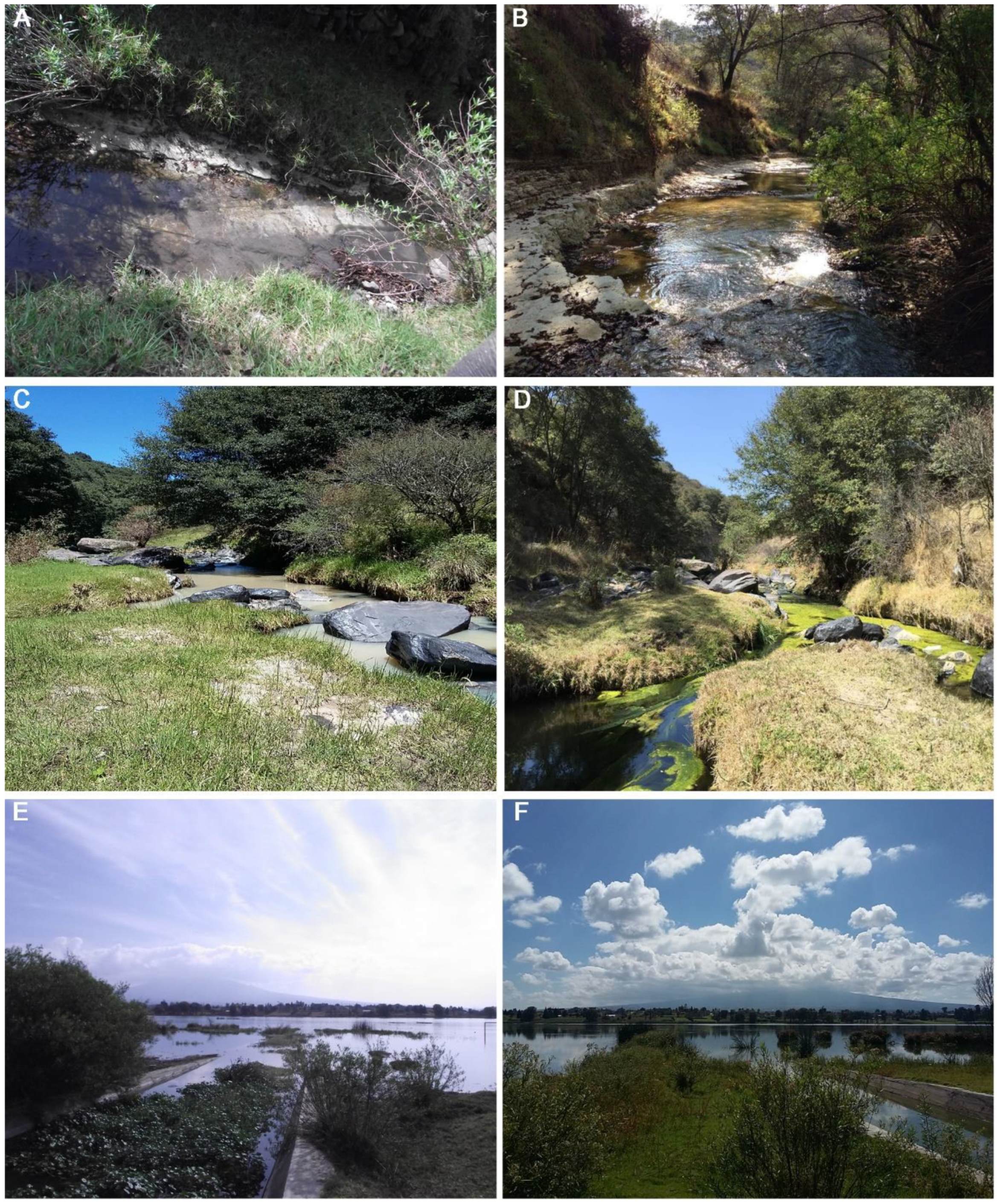 Hydrobiology 02 00016 g002