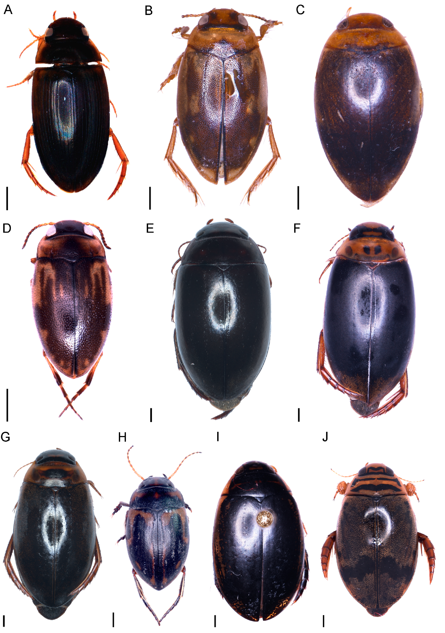 Hydrobiology 02 00016 g003