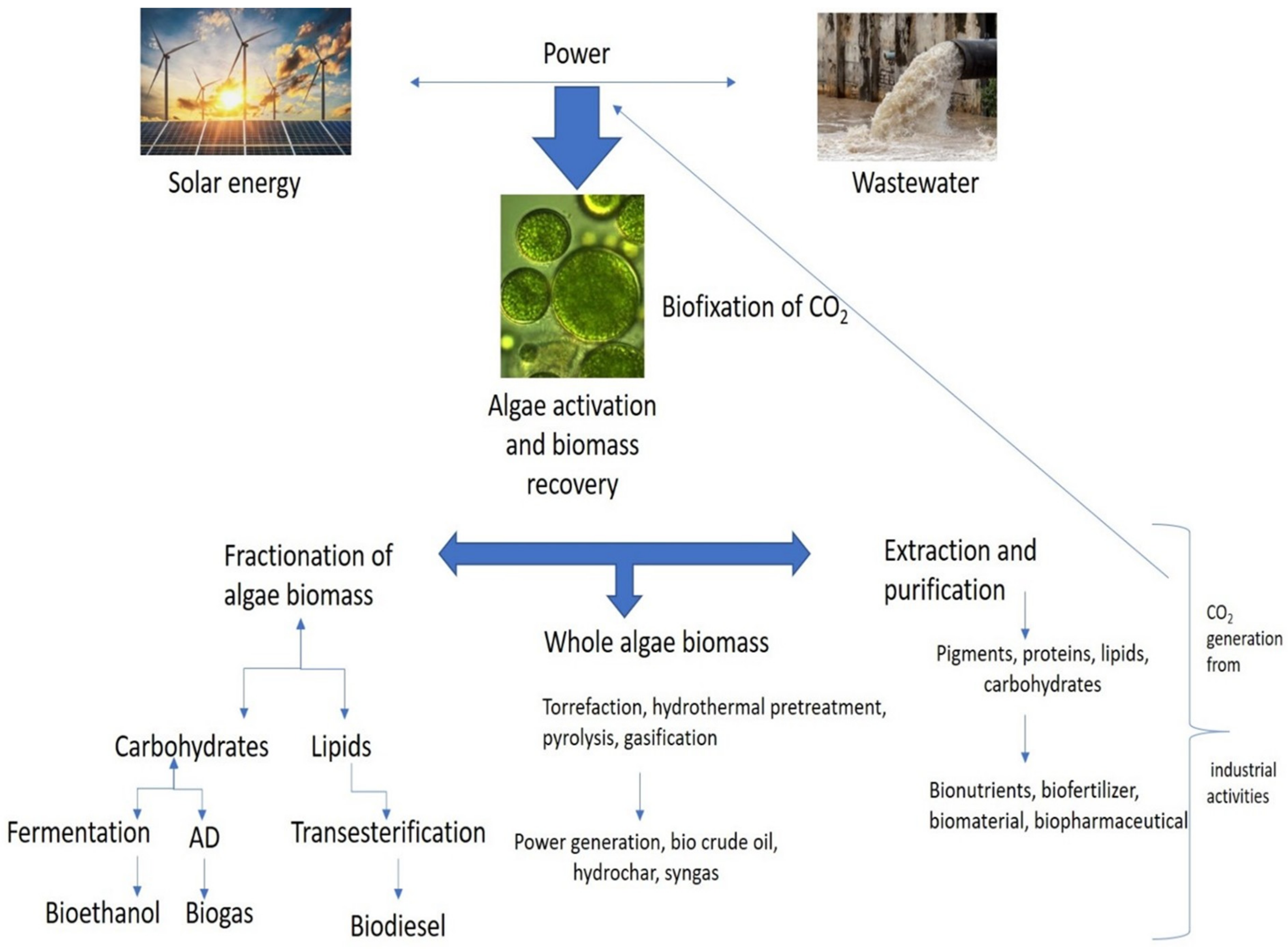 Hydrobiology 02 00021 g002