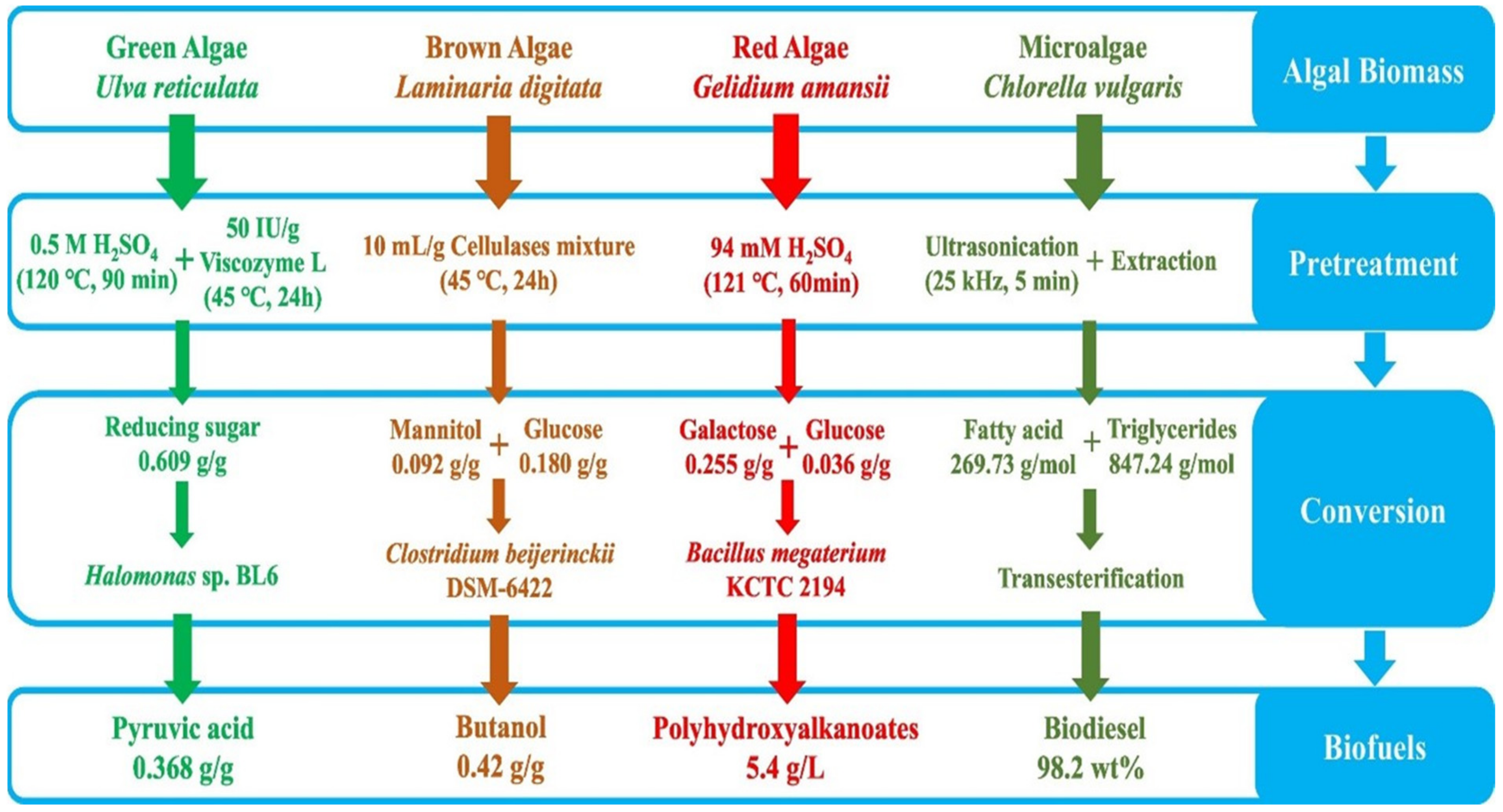 Hydrobiology 02 00021 g003