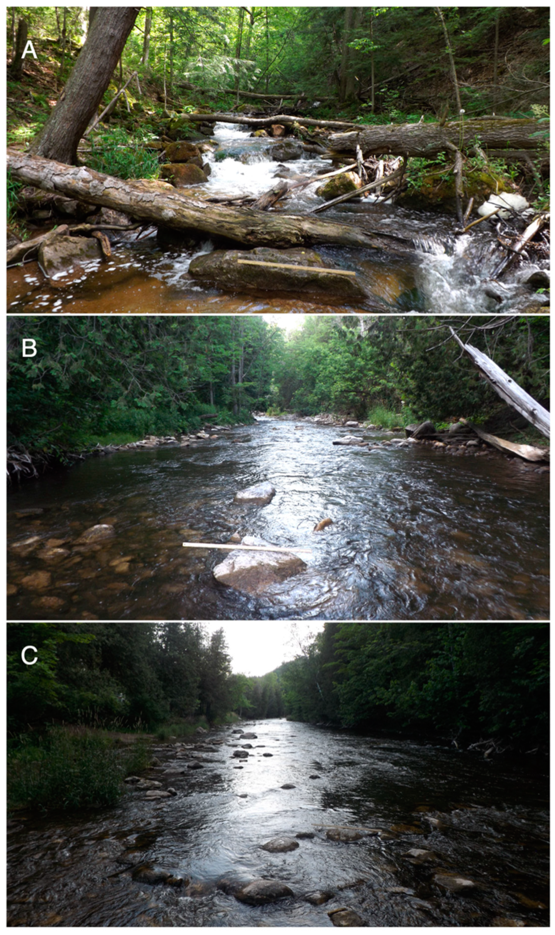 Hydrobiology 02 00034 g002 Hydrobiology 02 00034 g002