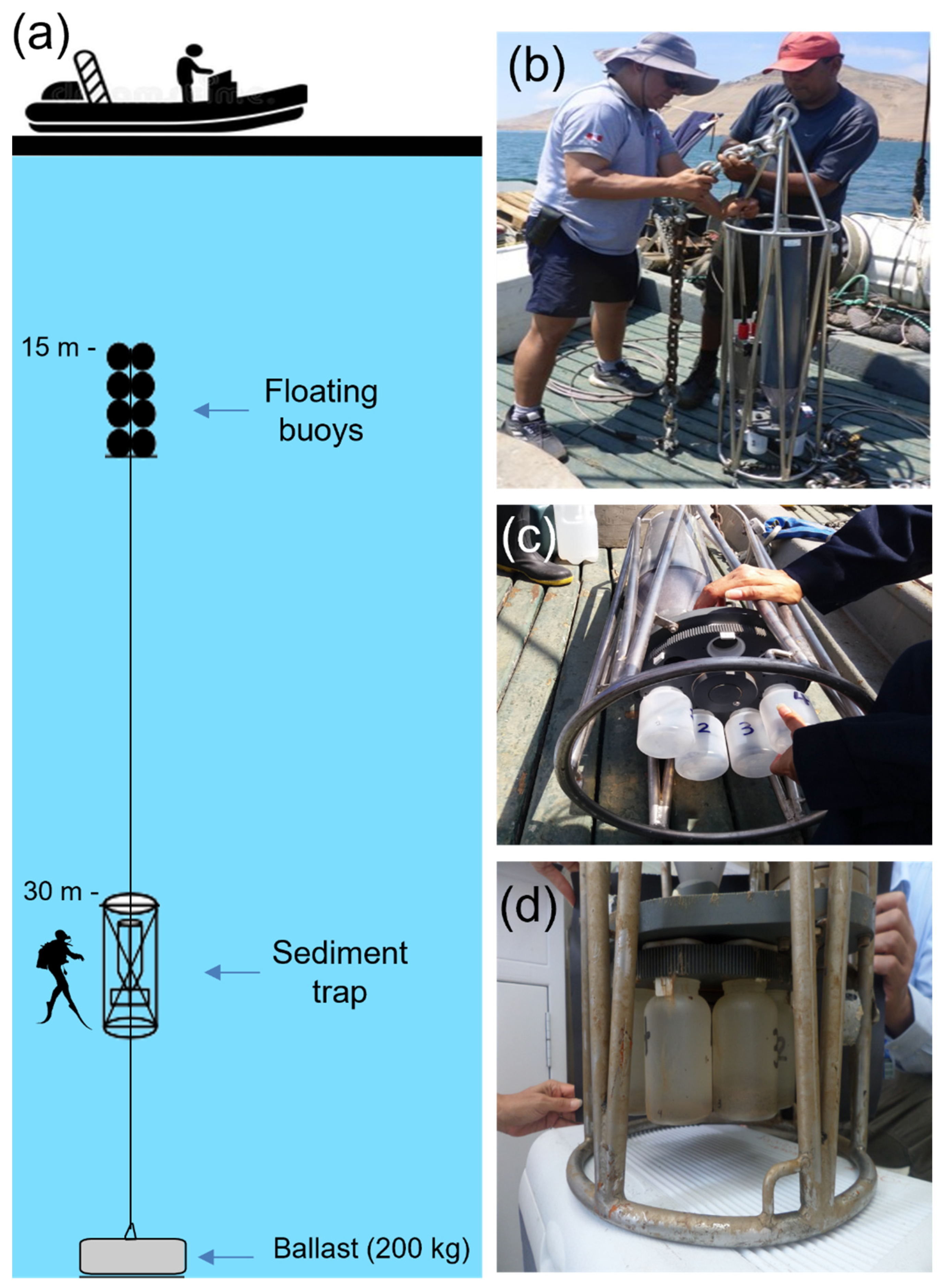 Hydrobiology 02 00035 g002