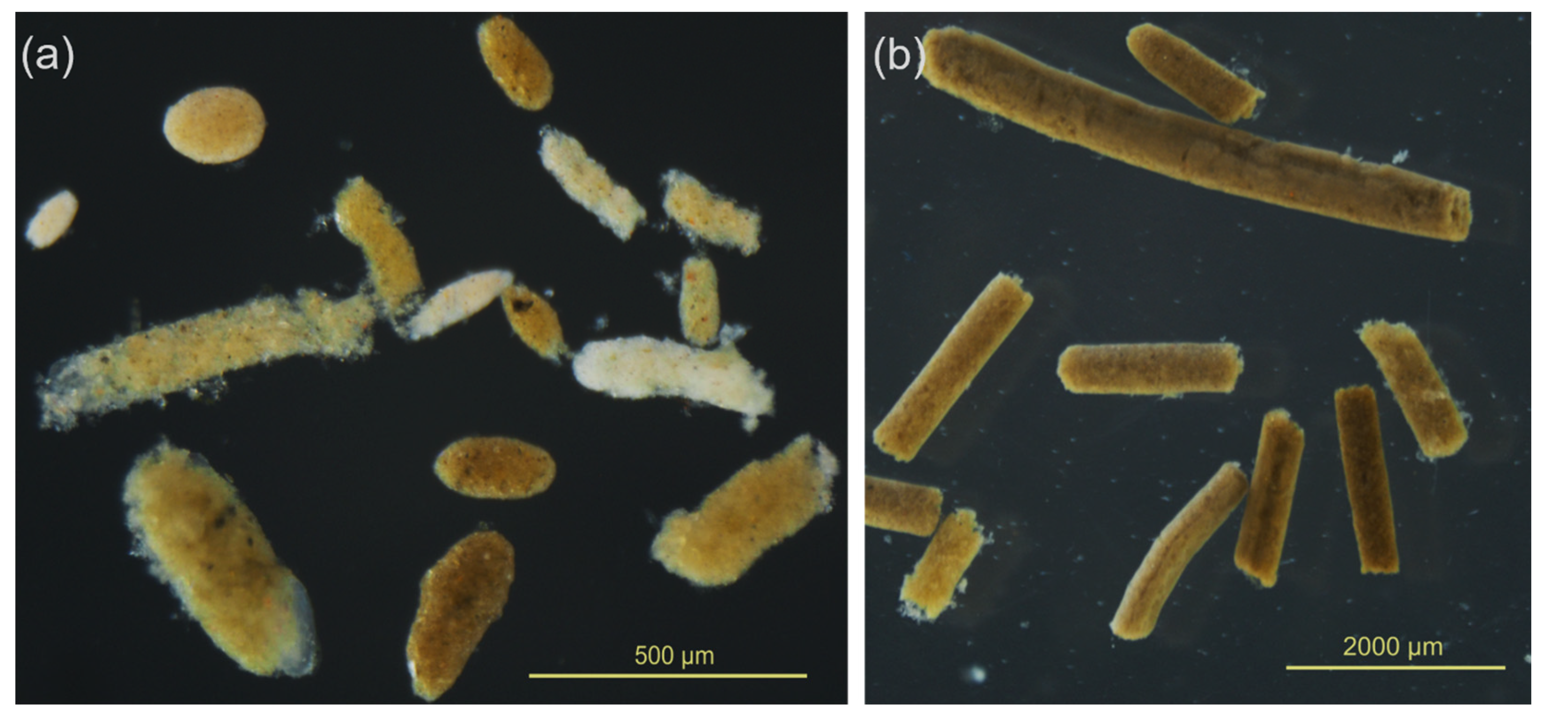 Hydrobiology 02 00035 g003