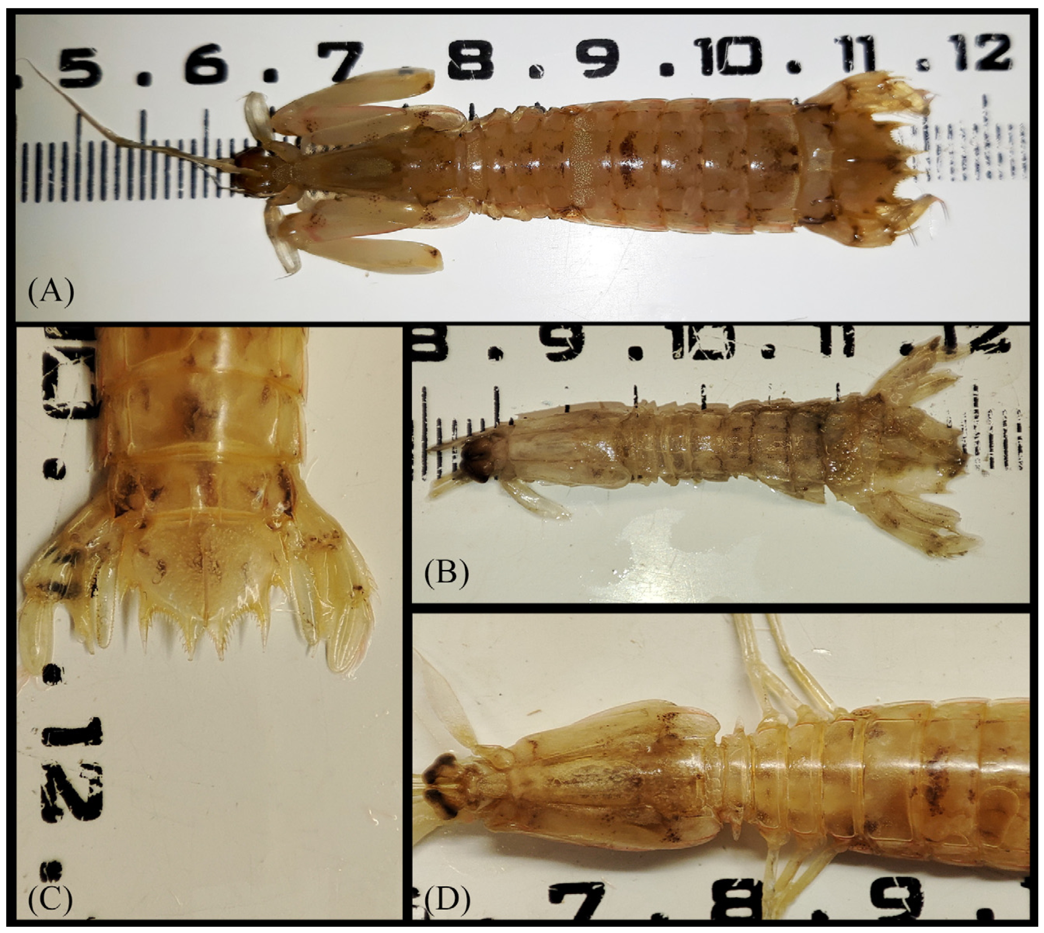 Hydrobiology 02 00038 g002