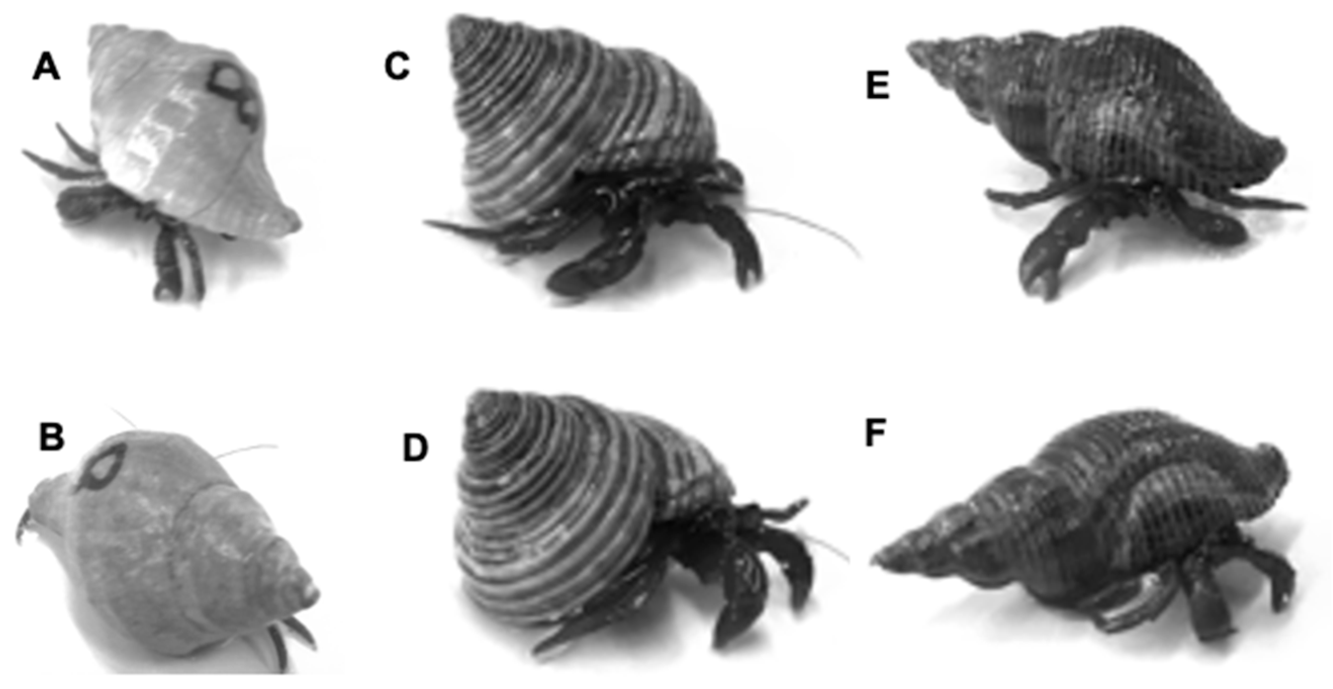 Hydrobiology 03 00006 g001