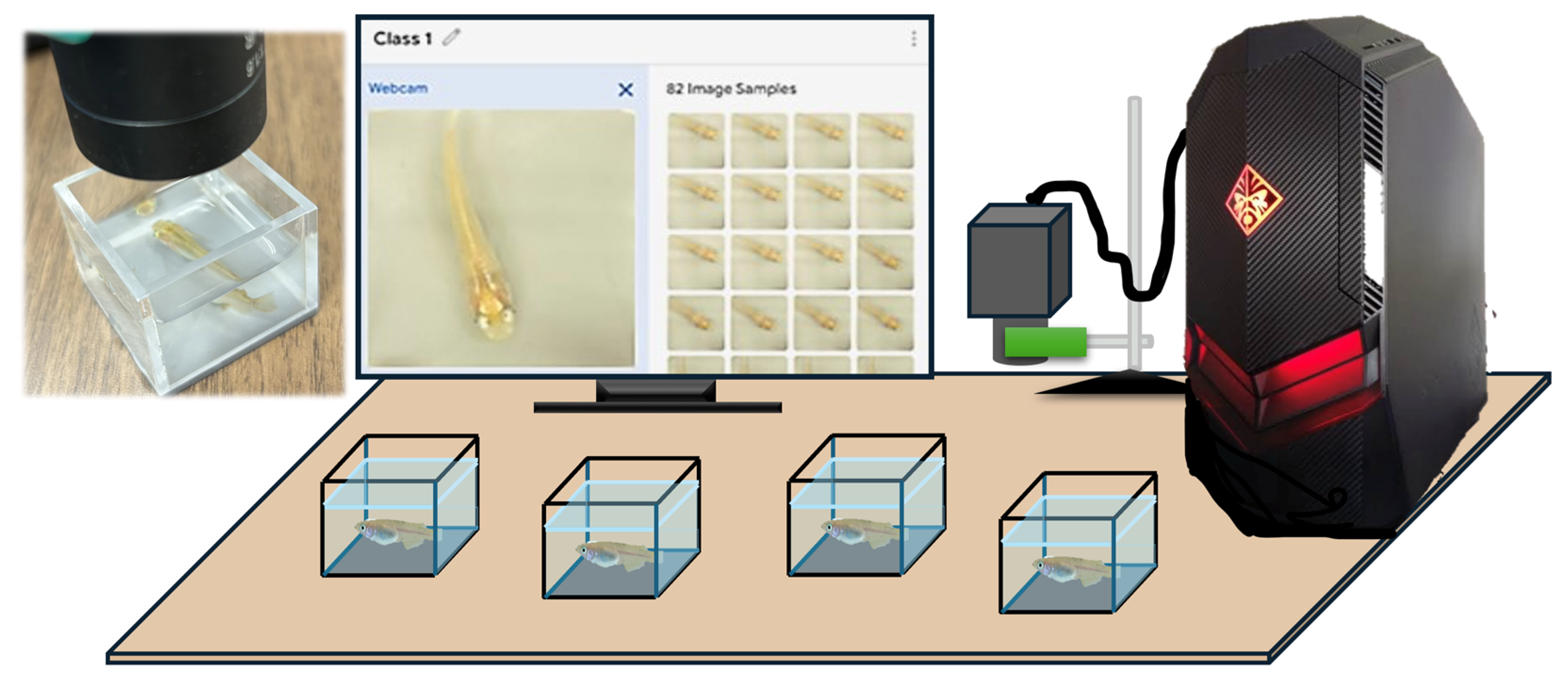 Hydrobiology 03 00009 g001