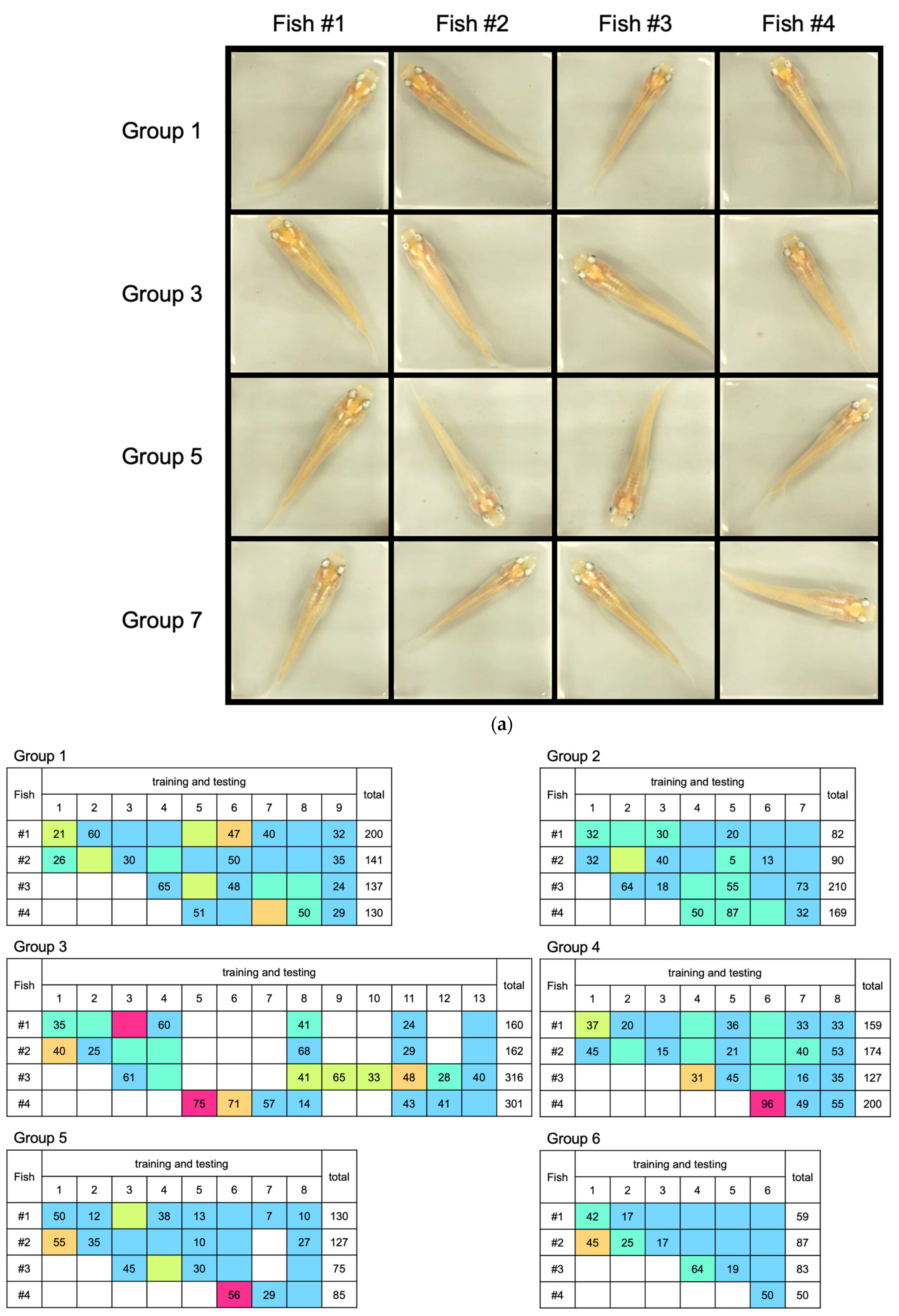 Hydrobiology 03 00009 g003a