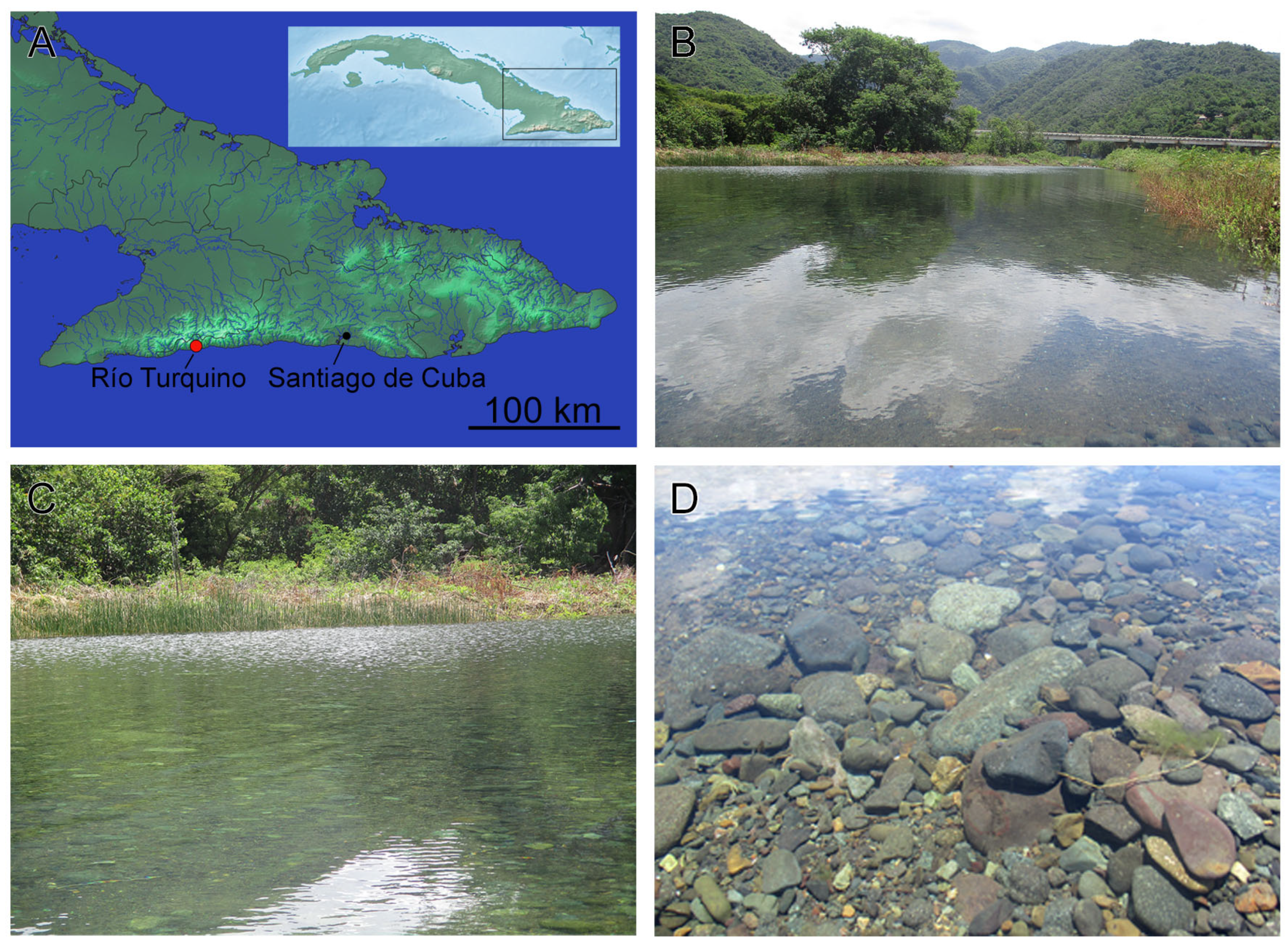 Hydrobiology 03 00018 g001