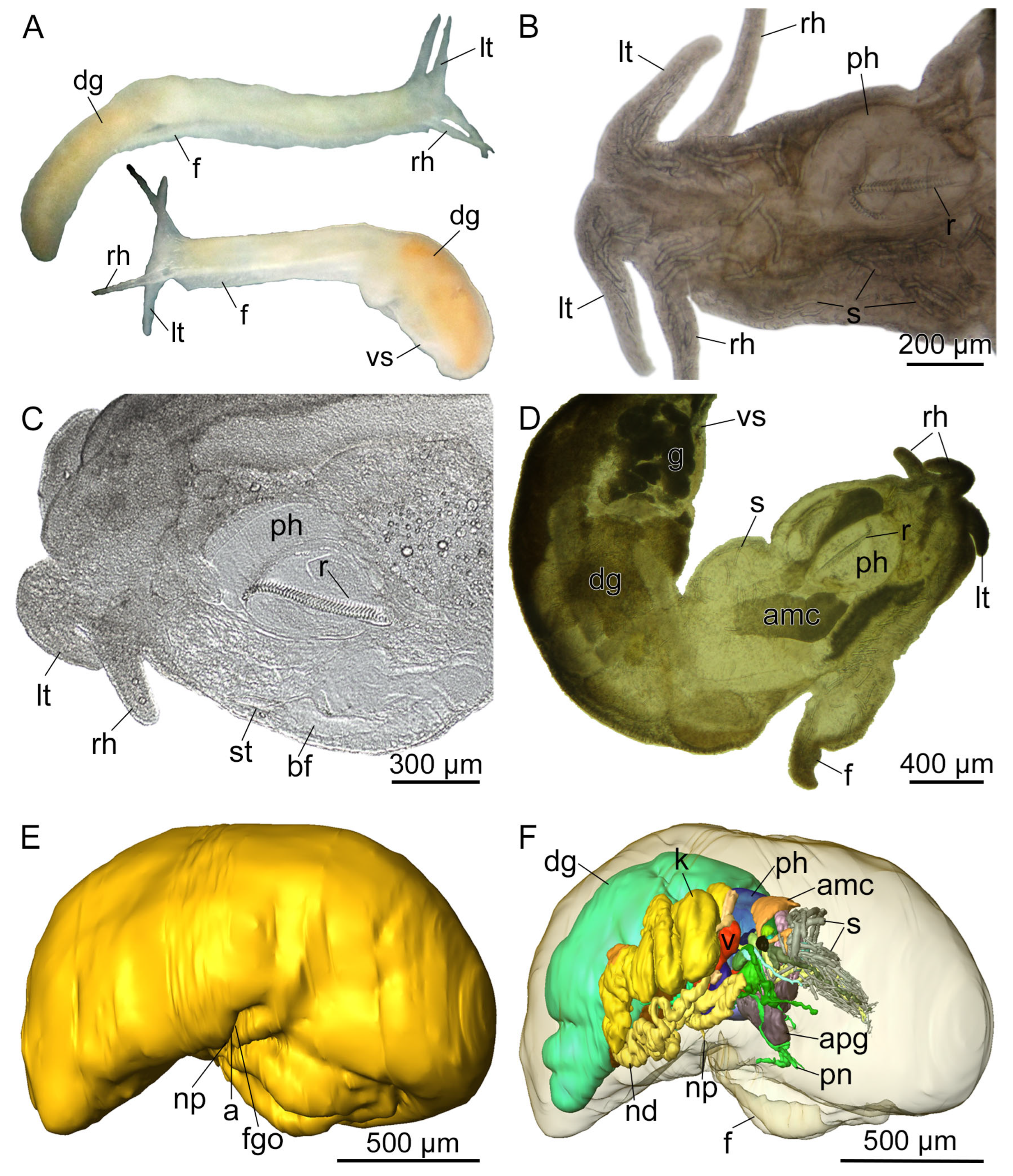 Hydrobiology 03 00018 g002
