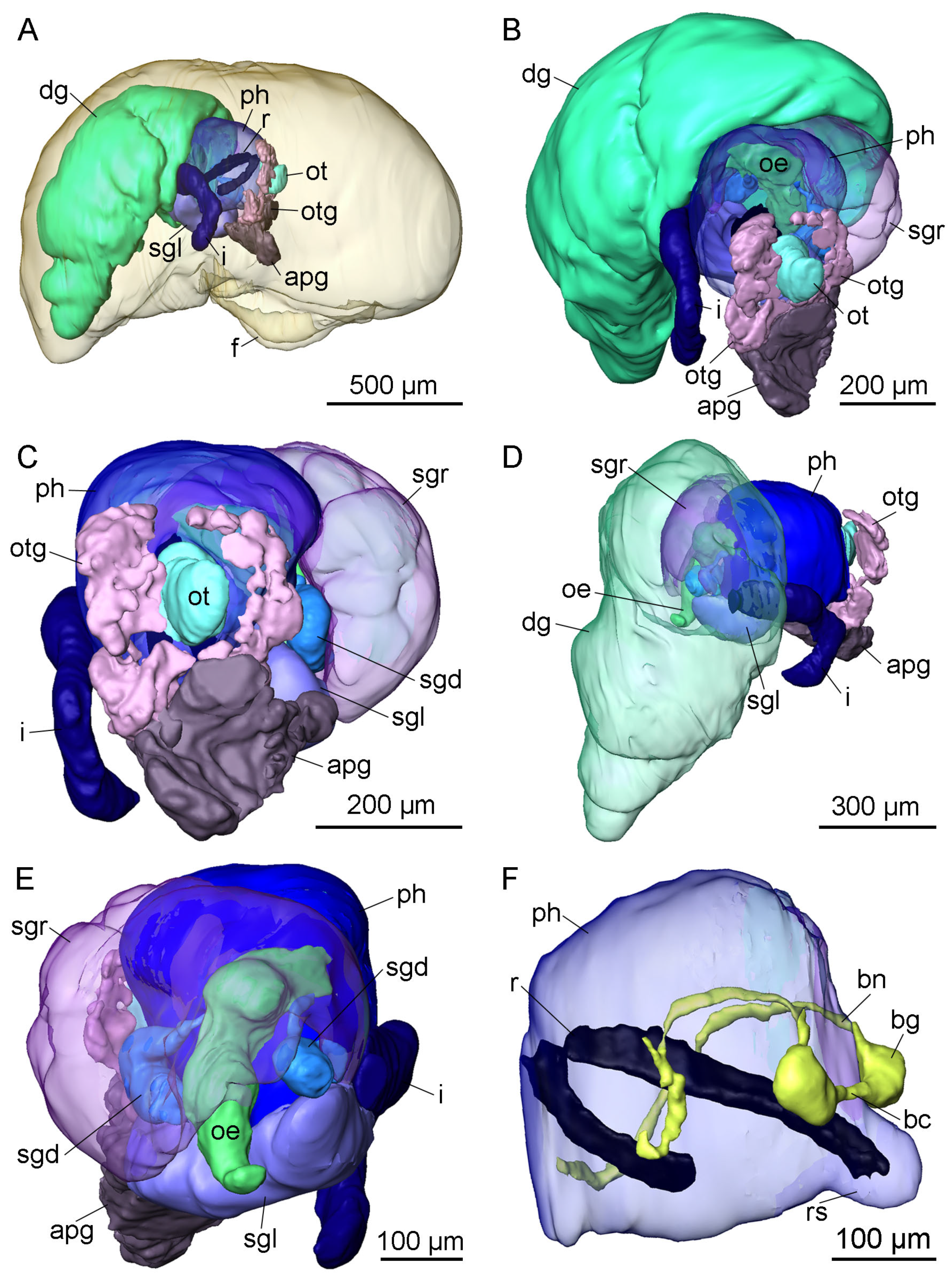Hydrobiology 03 00018 g006