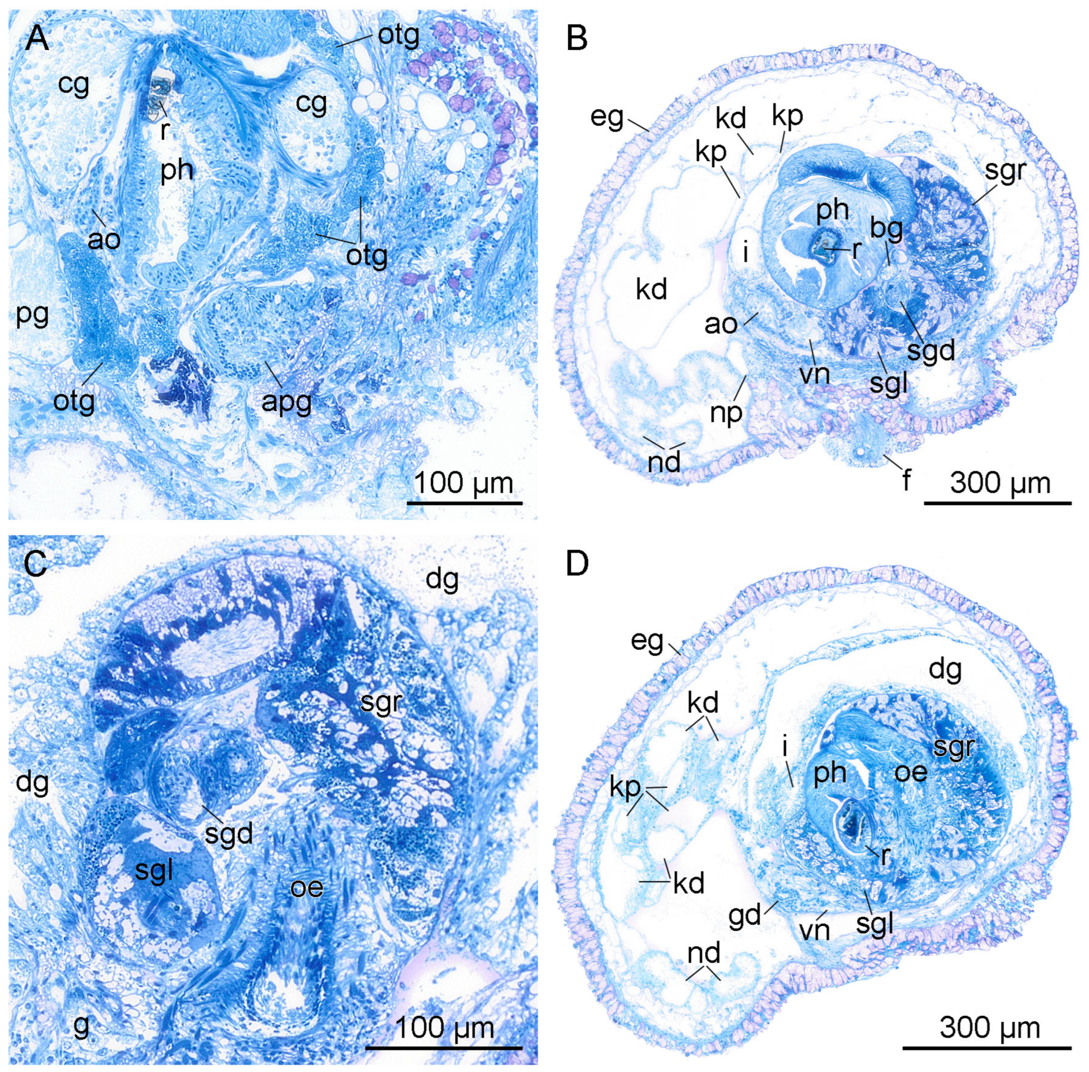 Hydrobiology 03 00018 g007