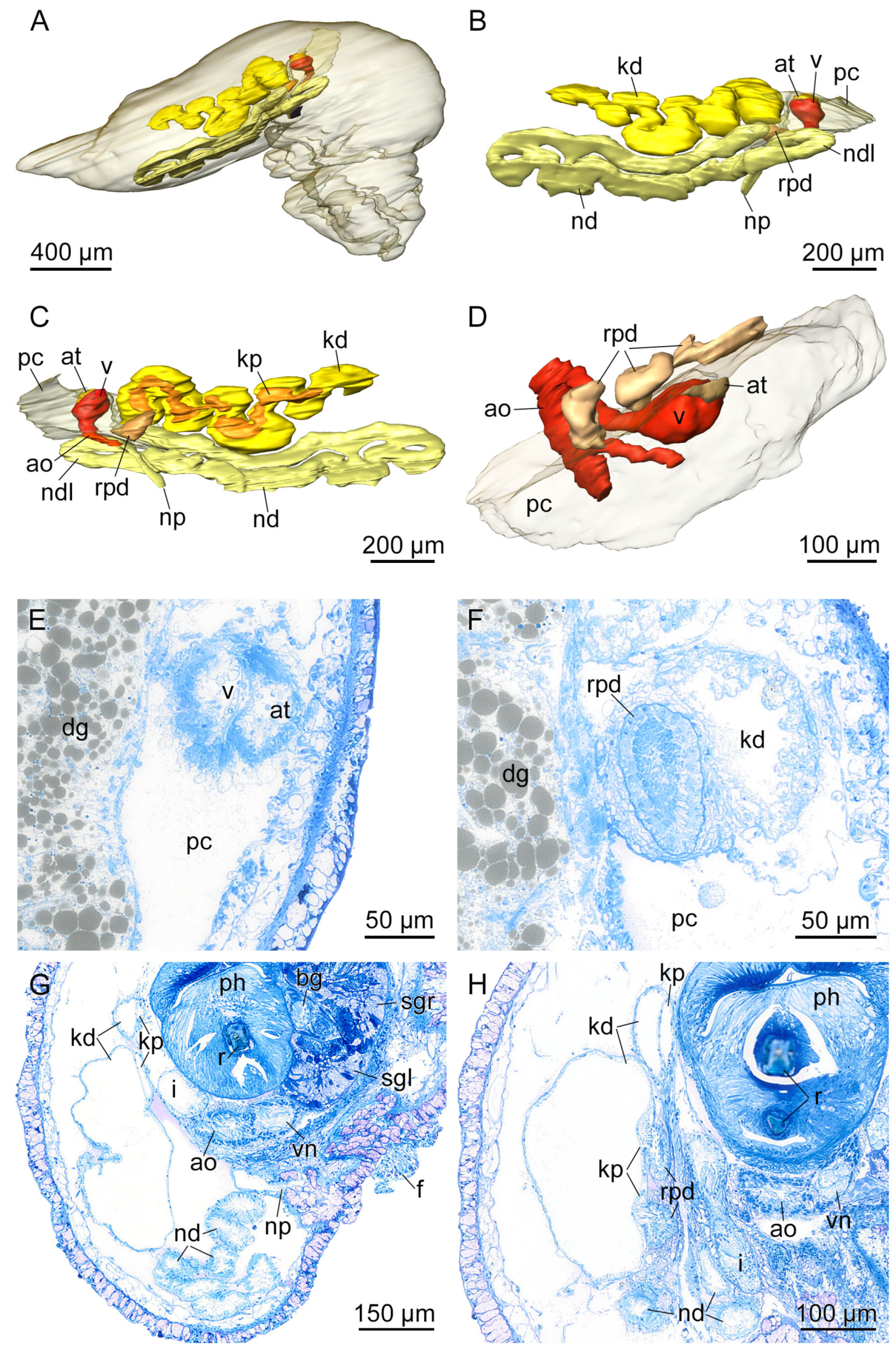 Hydrobiology 03 00018 g010