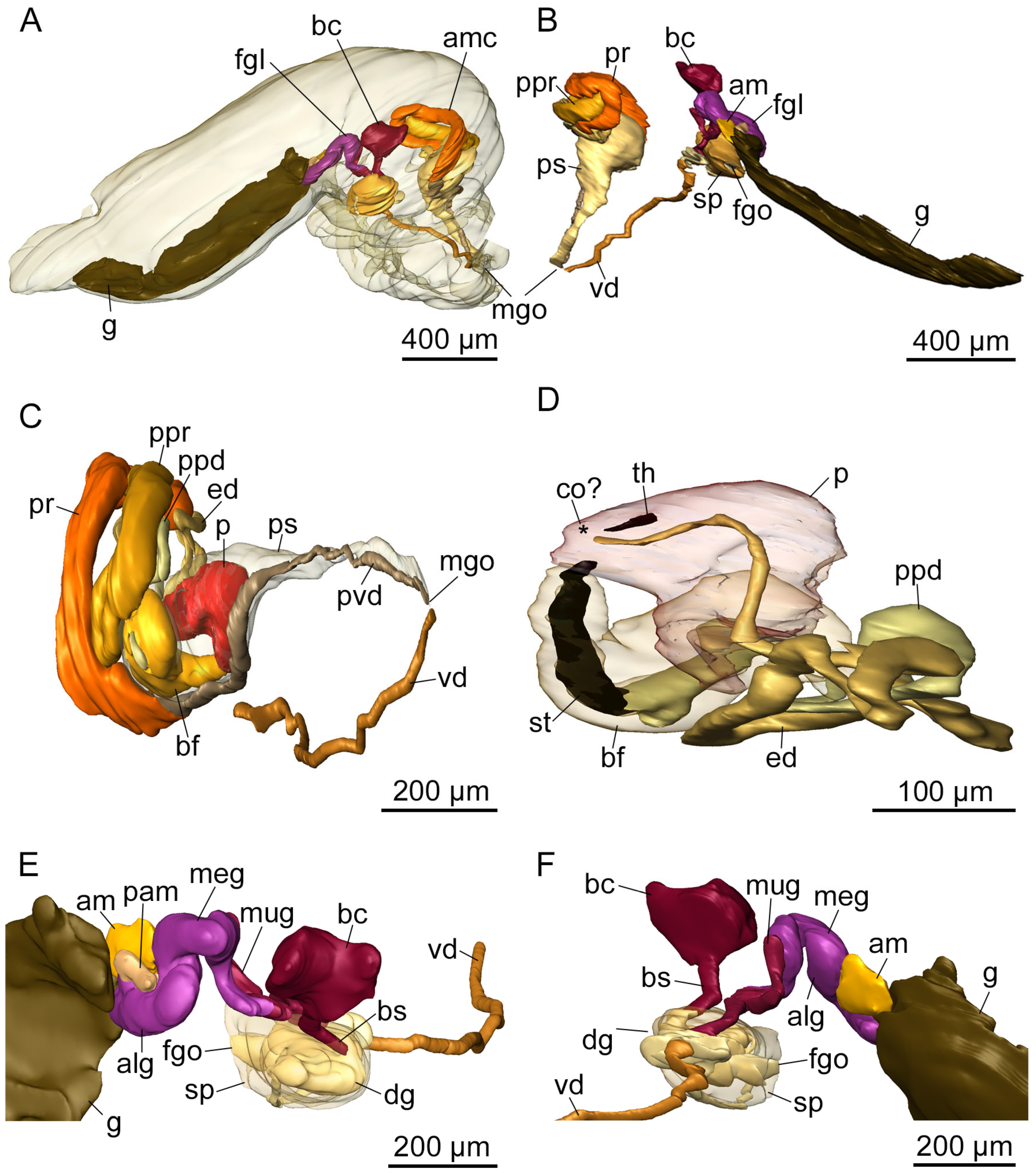 Hydrobiology 03 00018 g012