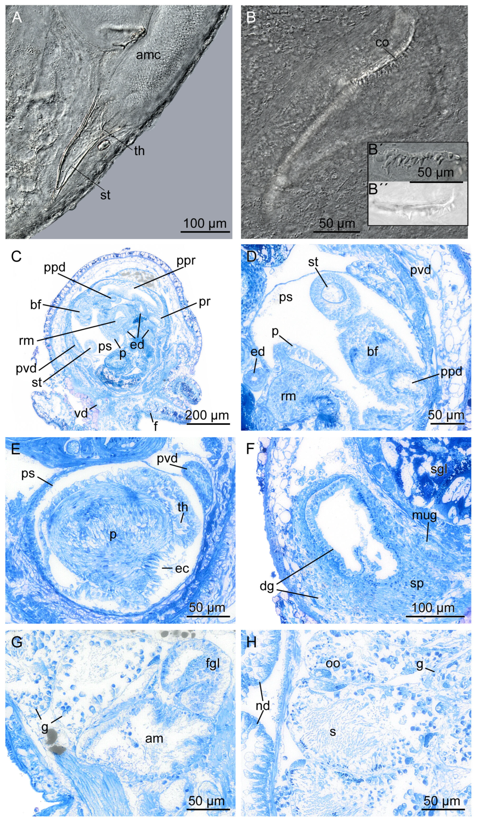 Hydrobiology 03 00018 g013