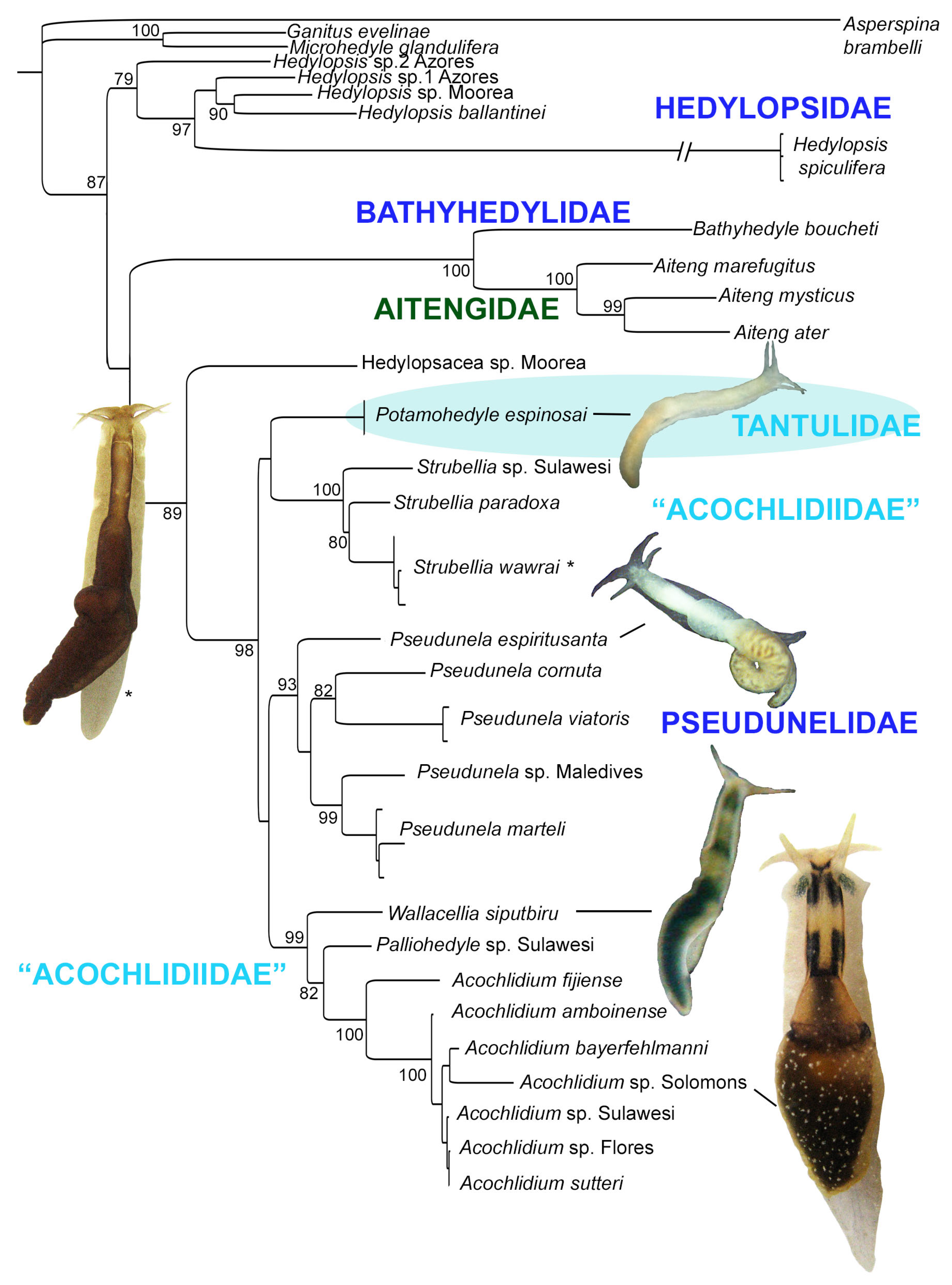 Hydrobiology 03 00018 g014
