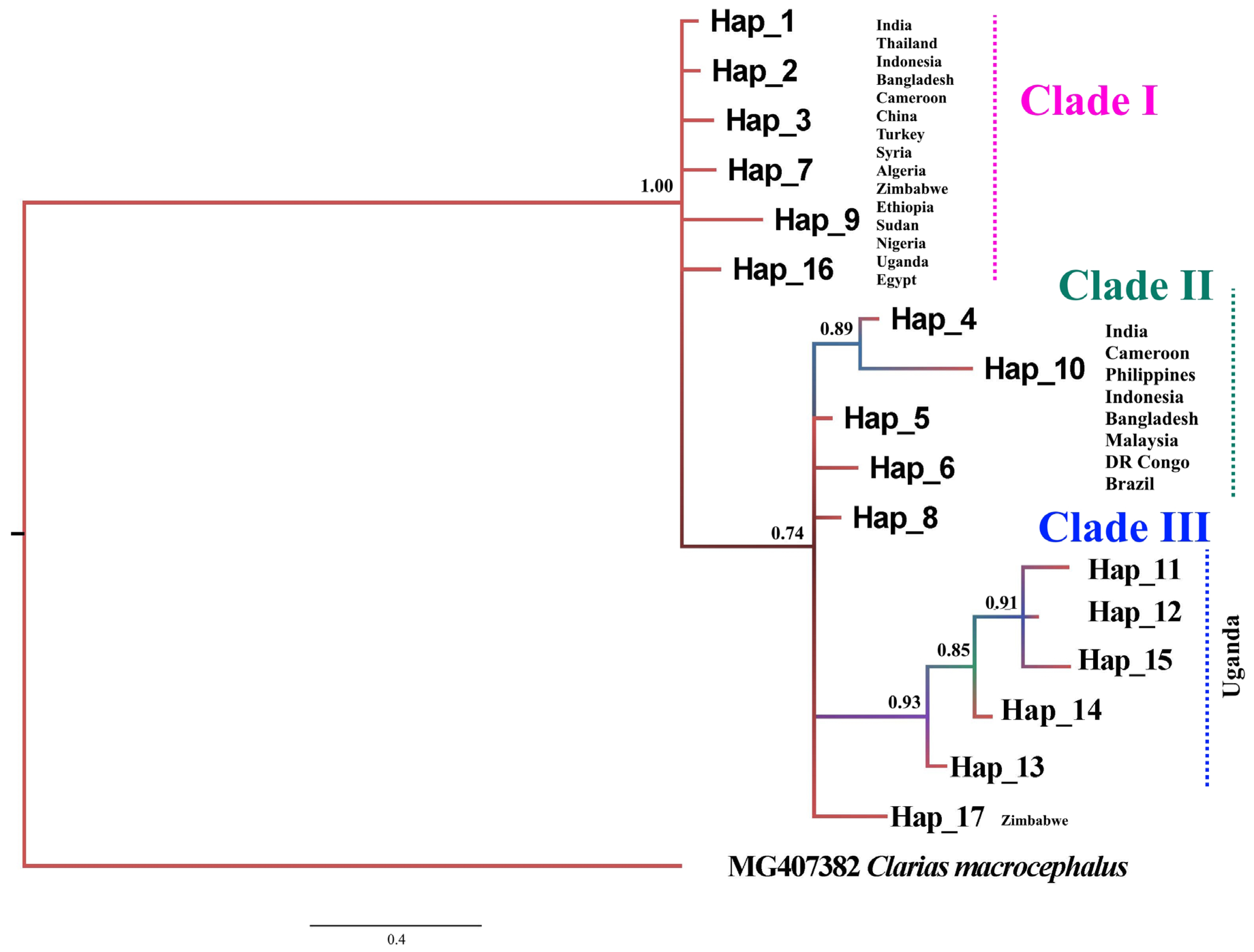 Hydrobiology 03 00021 g003