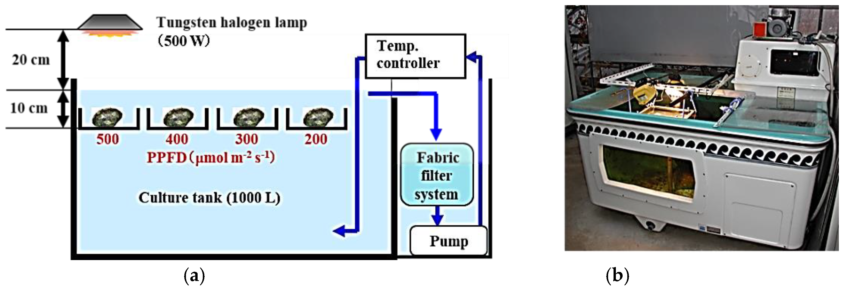 Hydrobiology 03 00022 g003