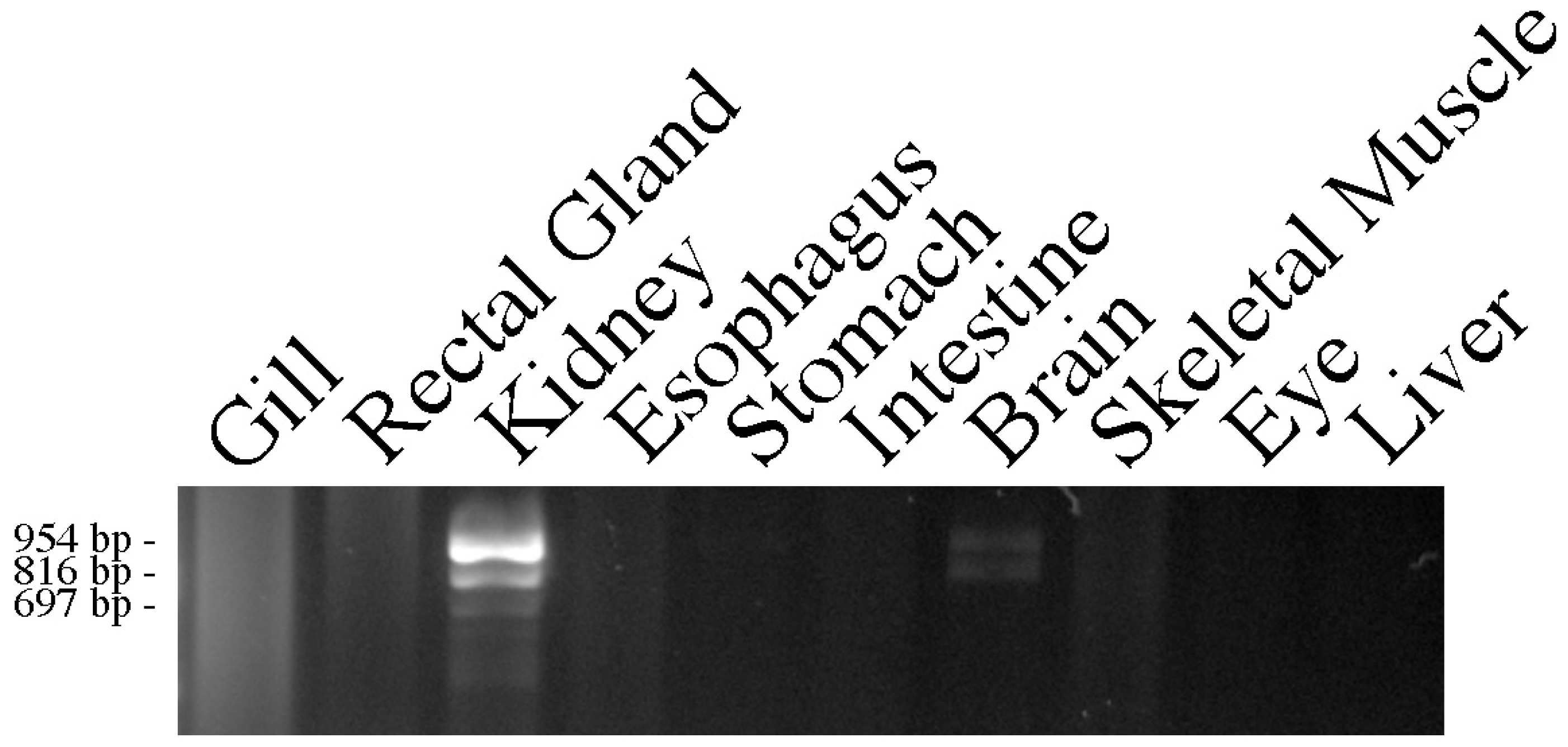 Hydrobiology 03 00024 g001