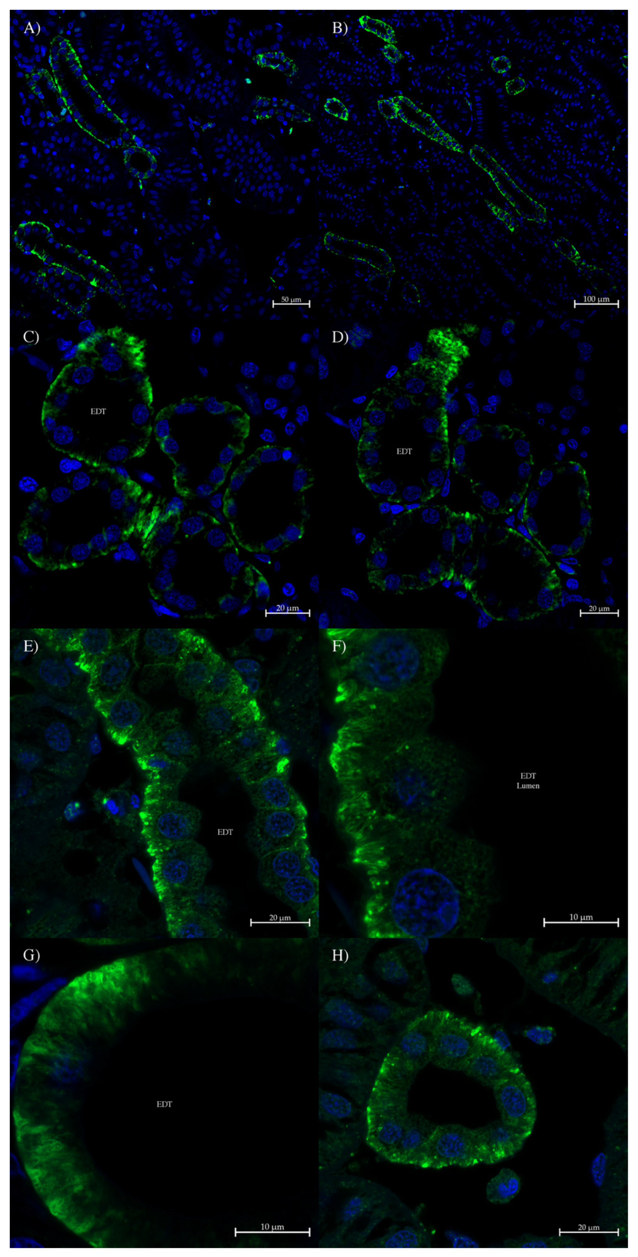 Hydrobiology 03 00024 g005