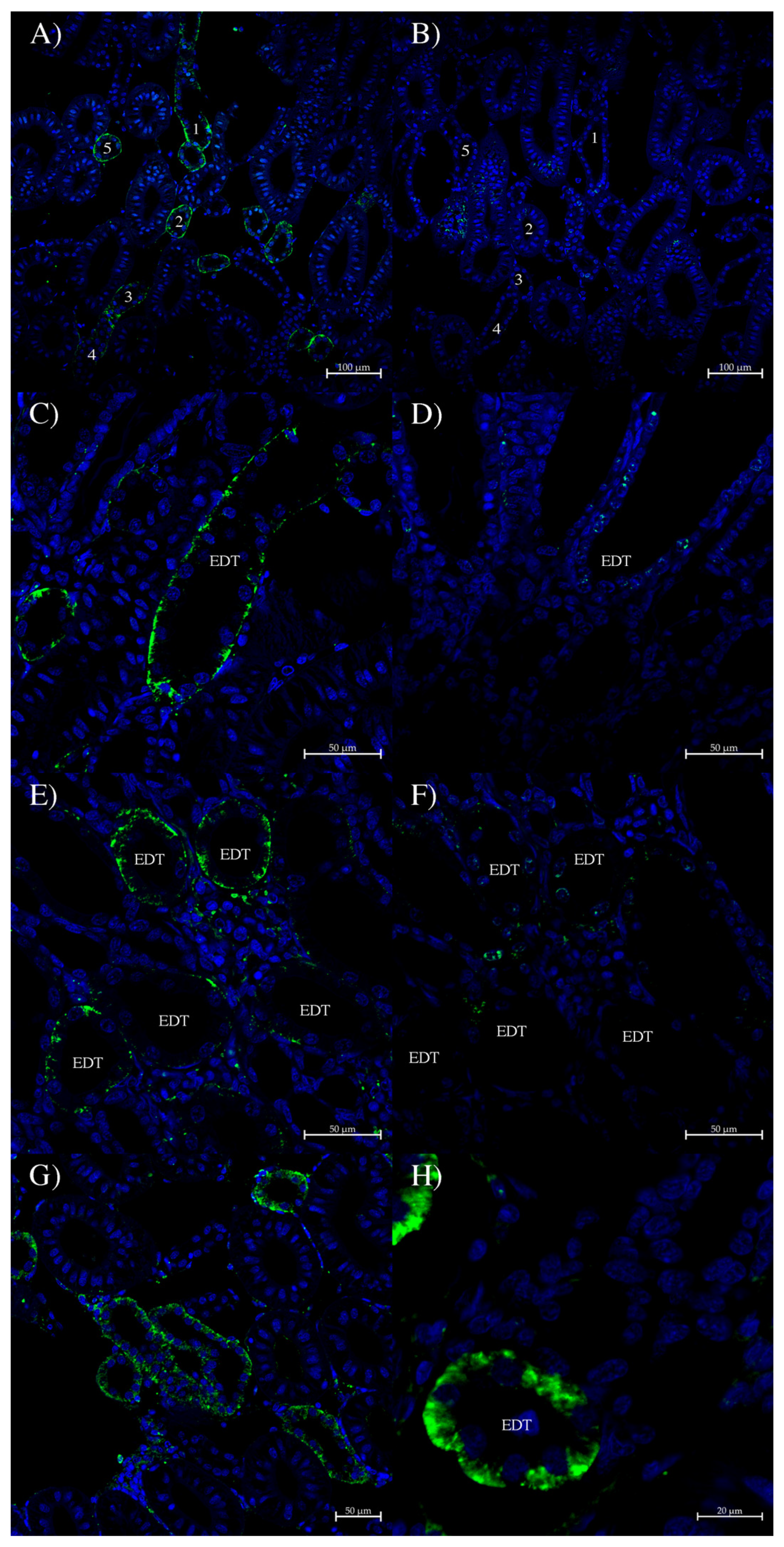 Hydrobiology 03 00024 g006