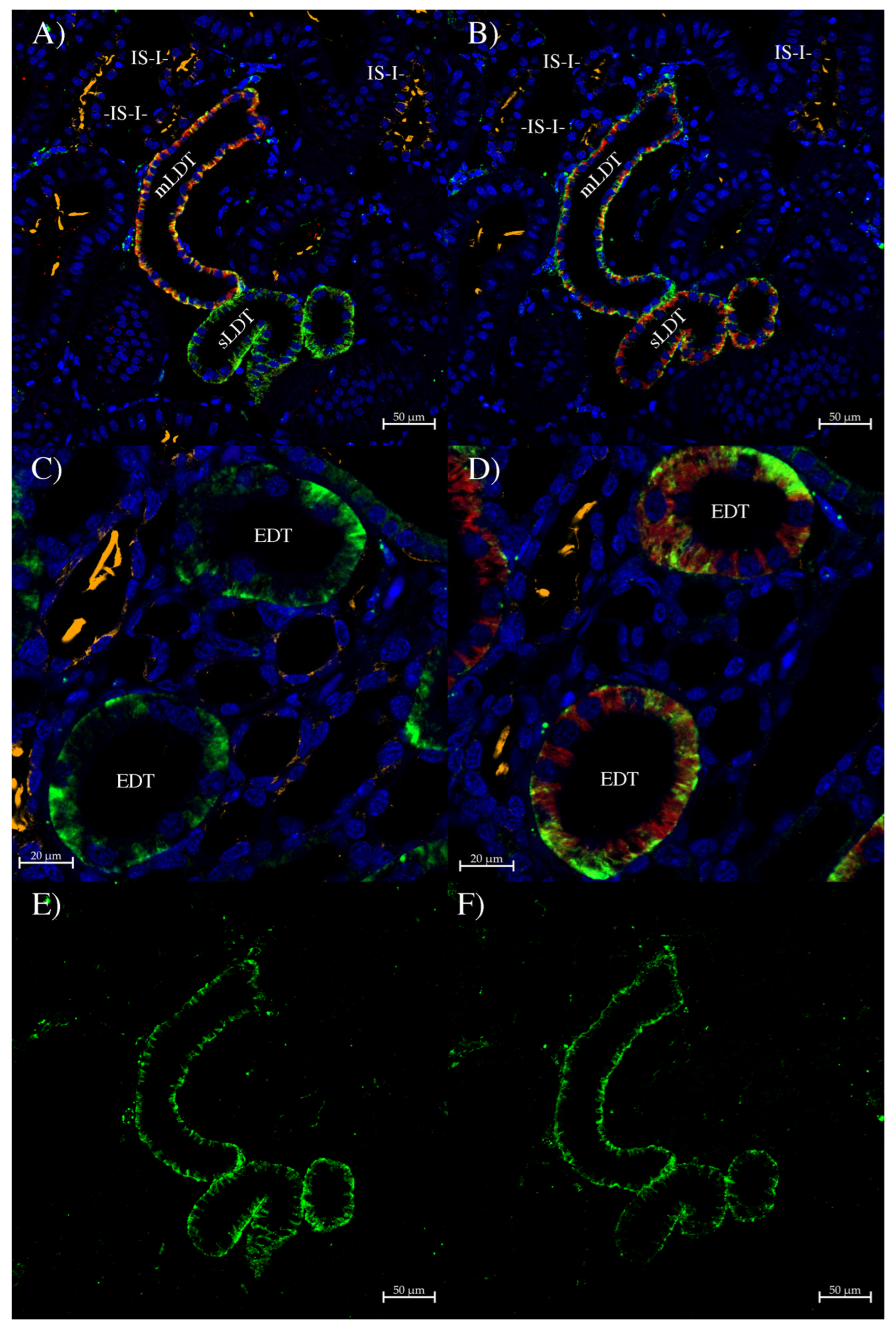 Hydrobiology 03 00024 g007