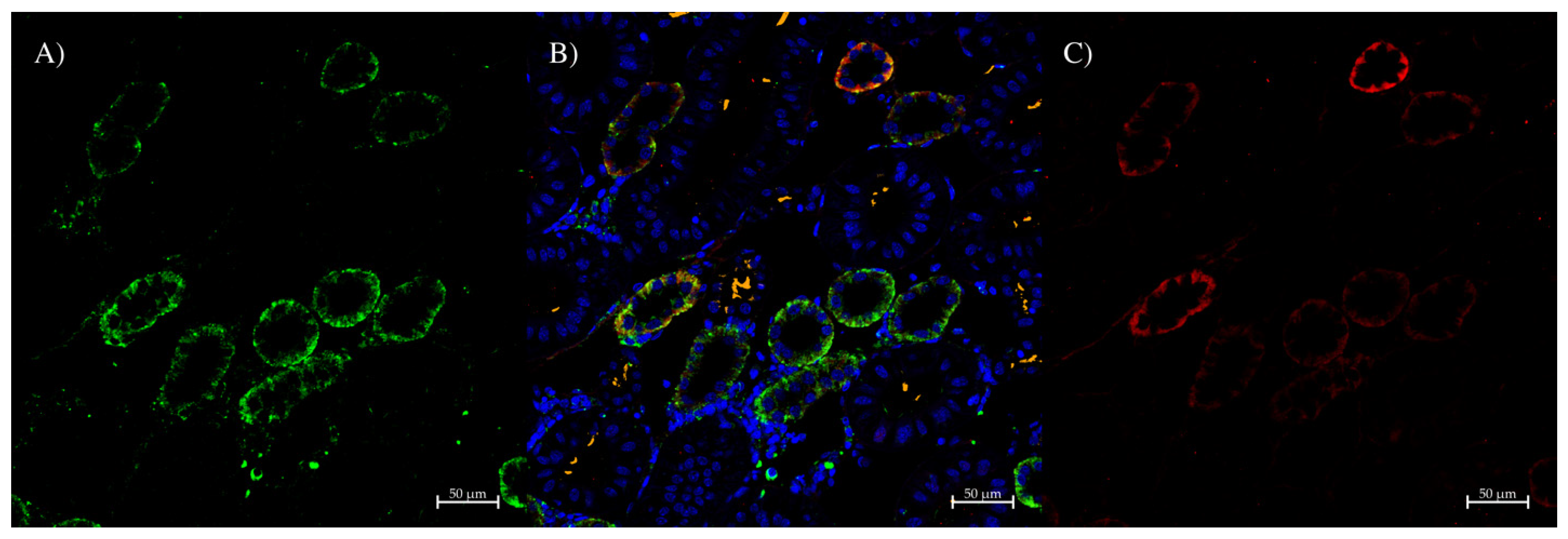 Hydrobiology 03 00024 g008