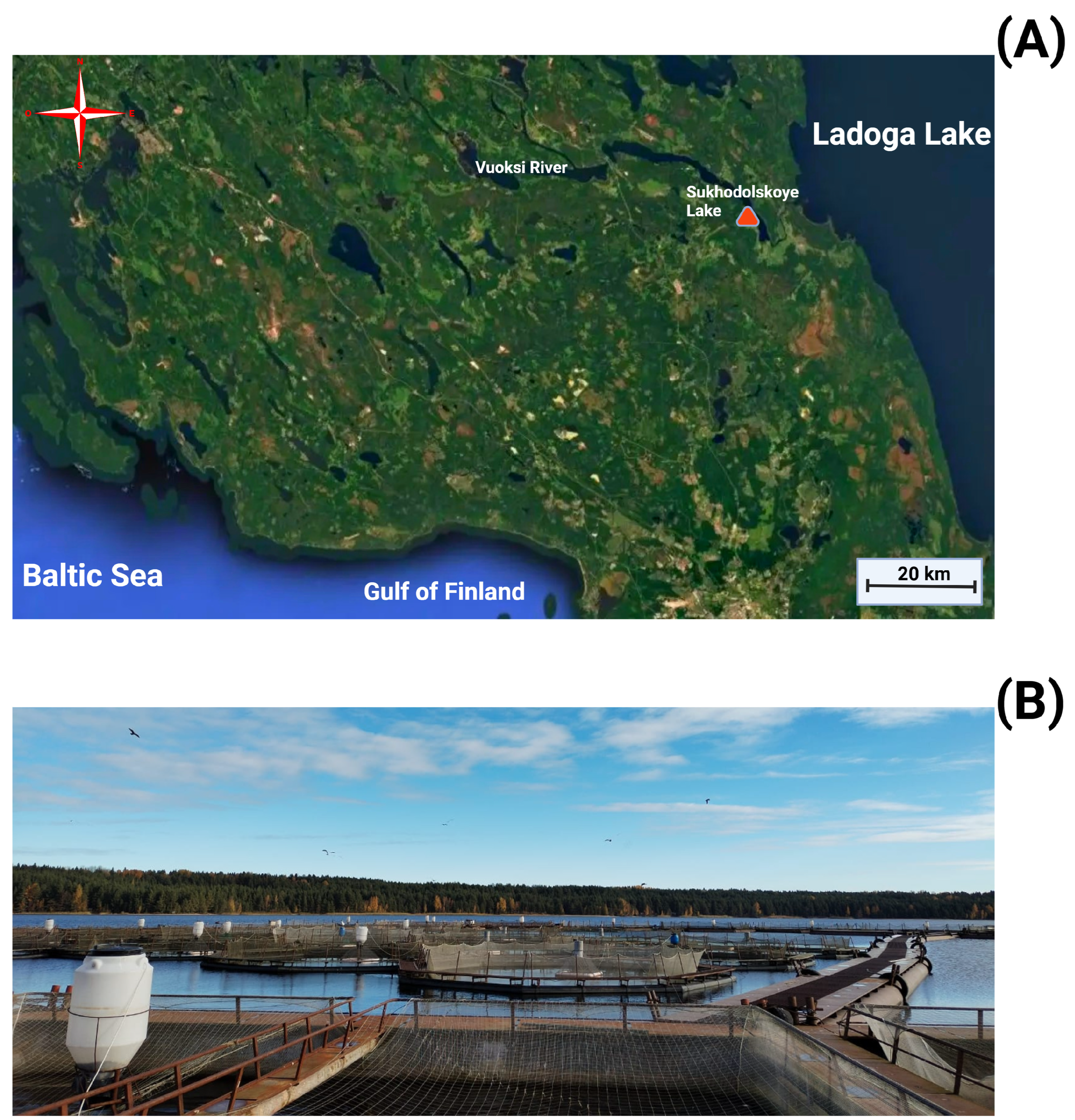 Hydrobiology 04 00013 g001