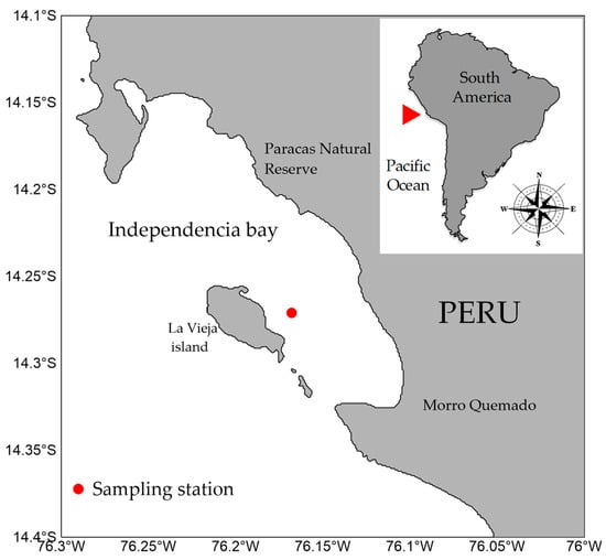 Study area and location (red triangle) of the sampling station (red circle) in Southern Peru (Independencia bay, 14°16′ S).