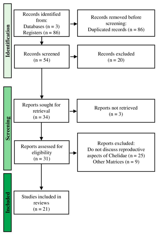 PRISMA flow diagram displays the literature search results (PubMed, Scopus and Web of Science).