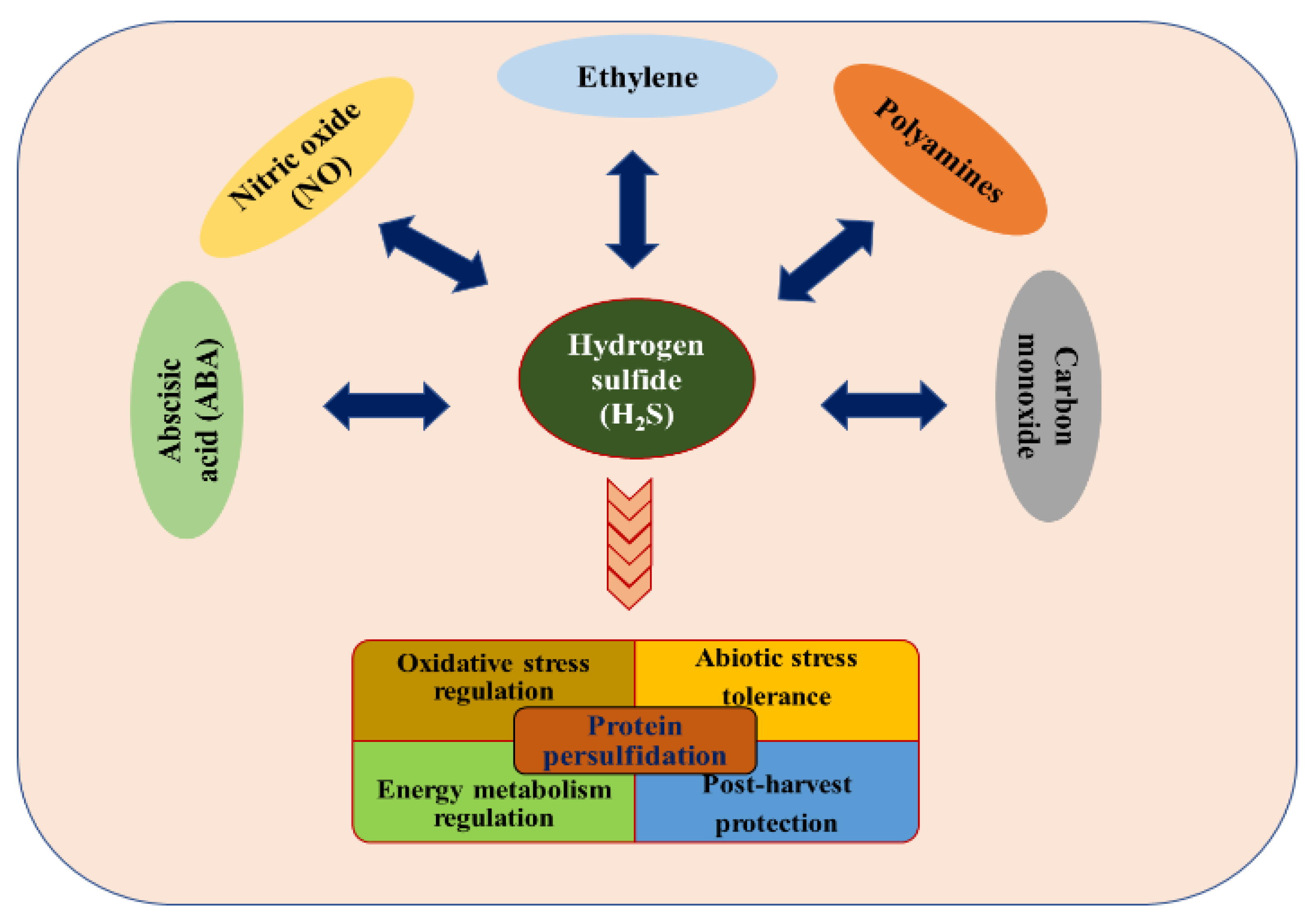 Hydrogen 02 00017 g001