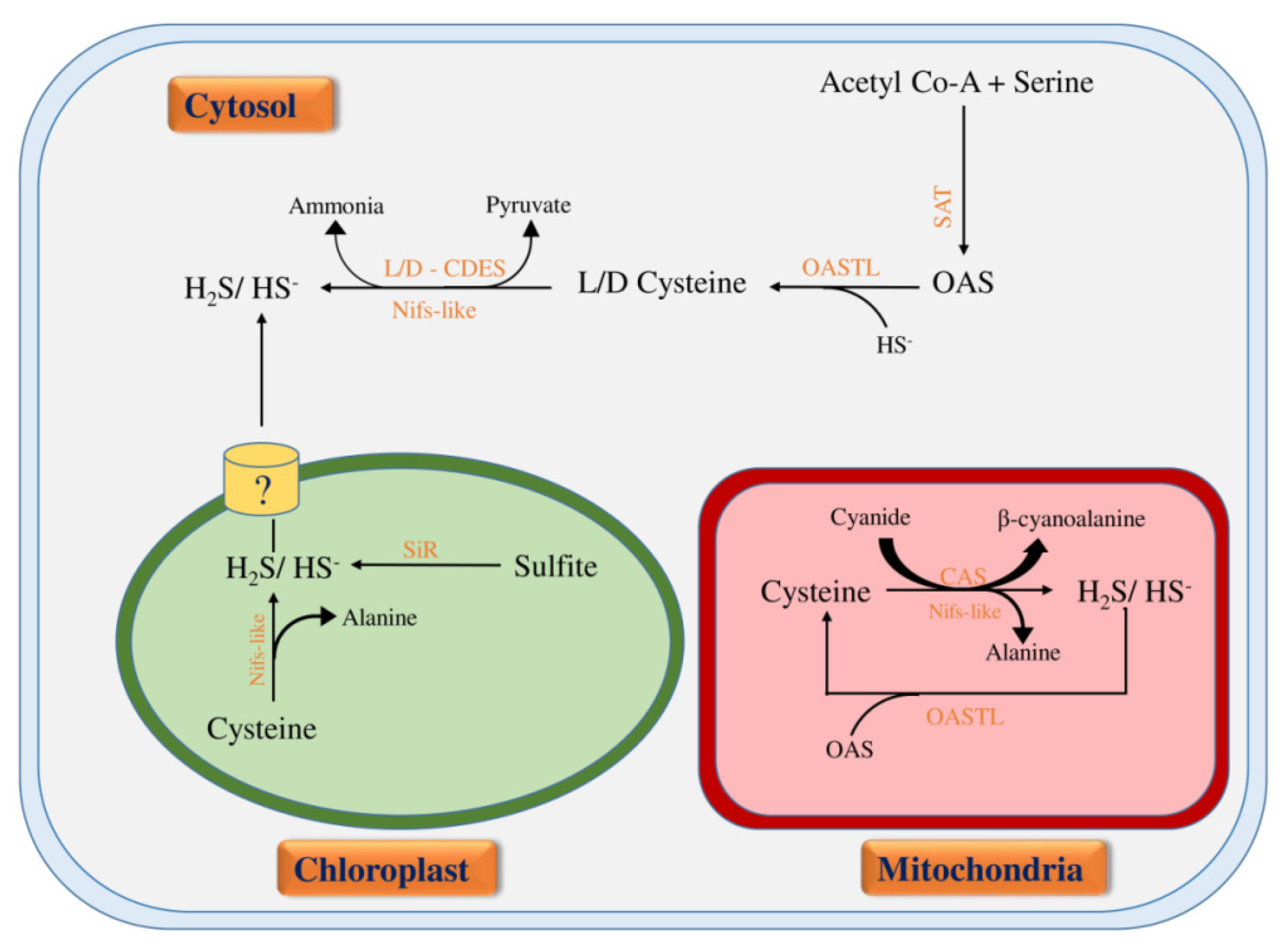 Hydrogen 02 00017 g002