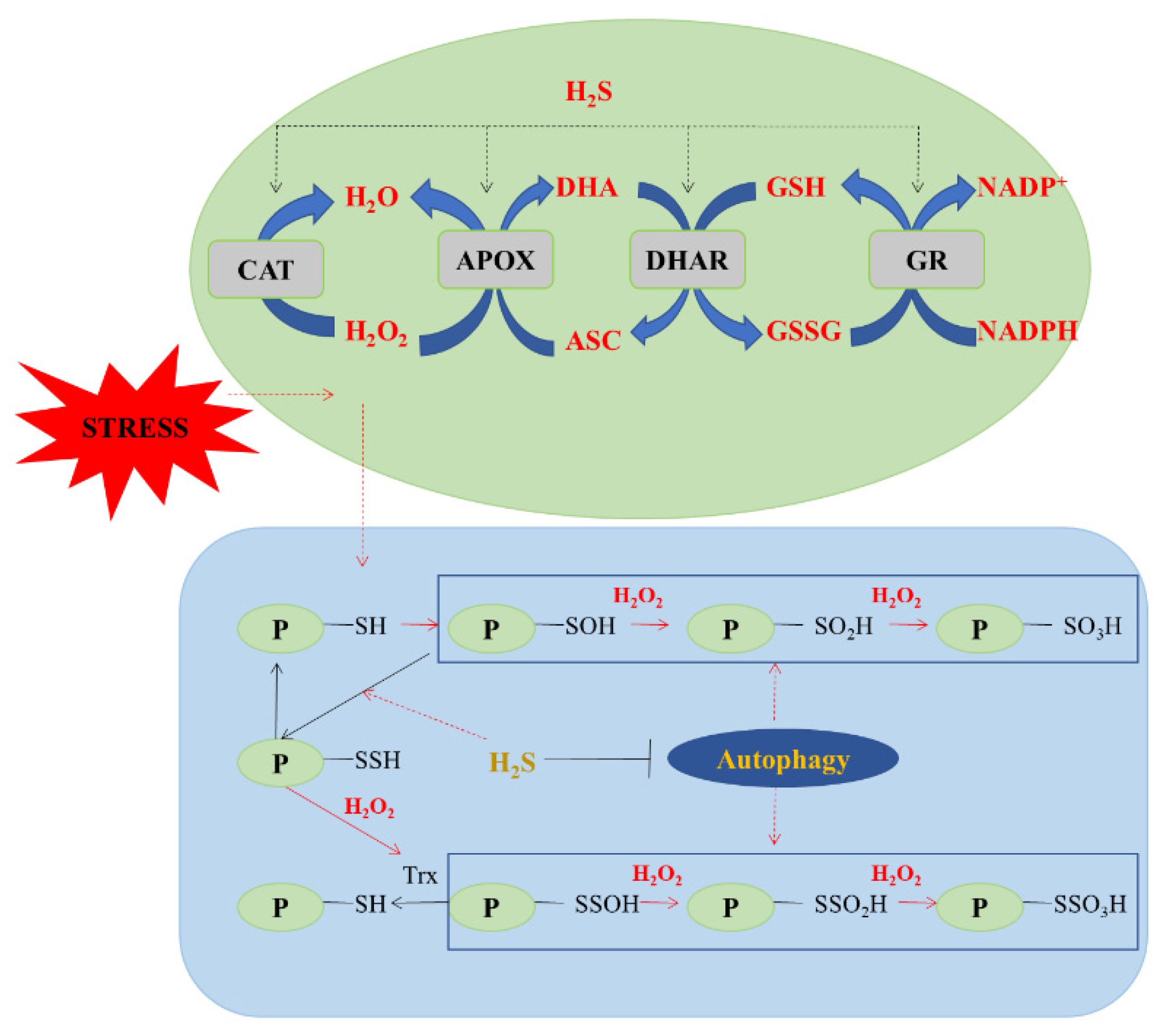 Hydrogen 02 00017 g003