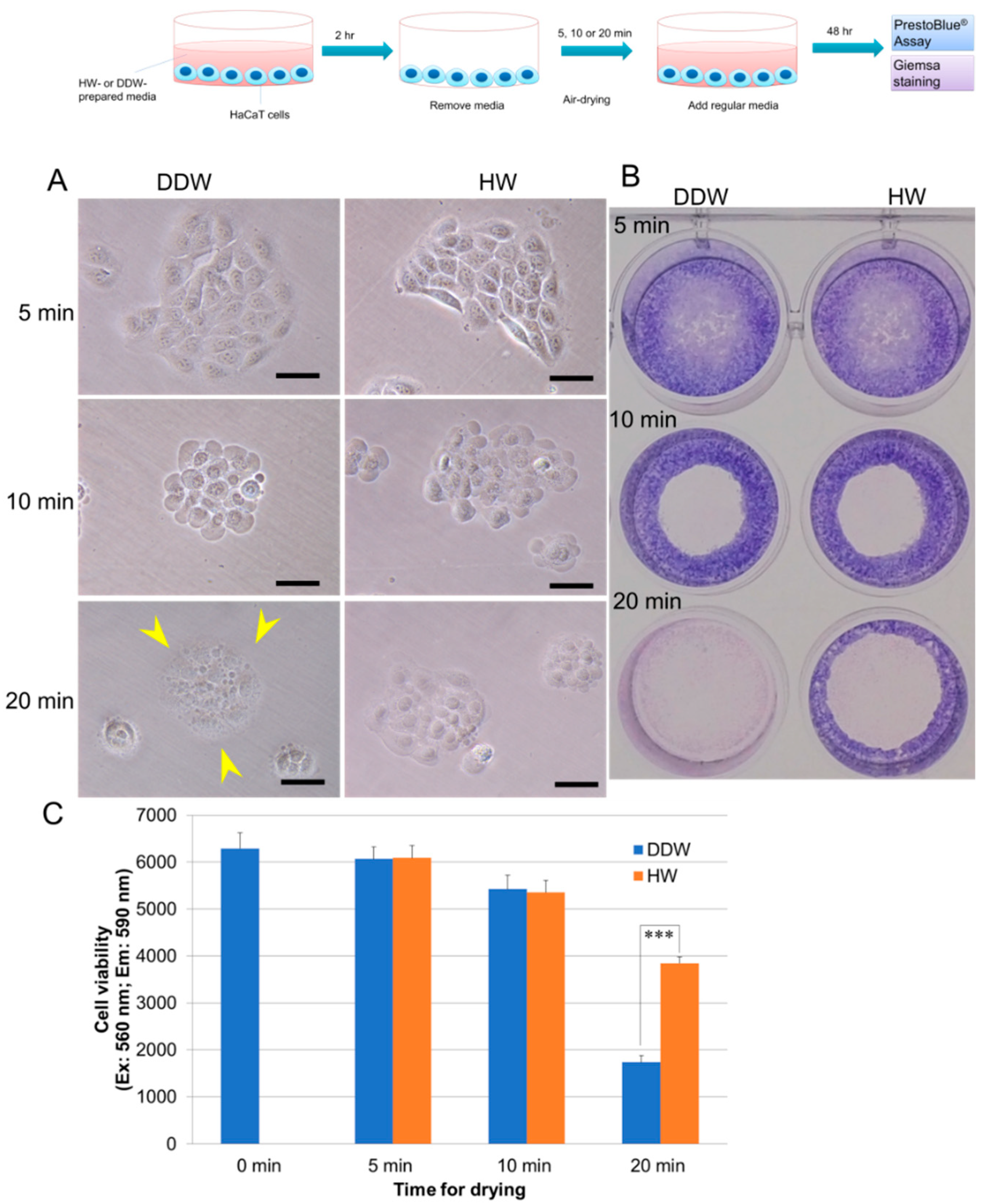 Hydrogen 03 00005 g001